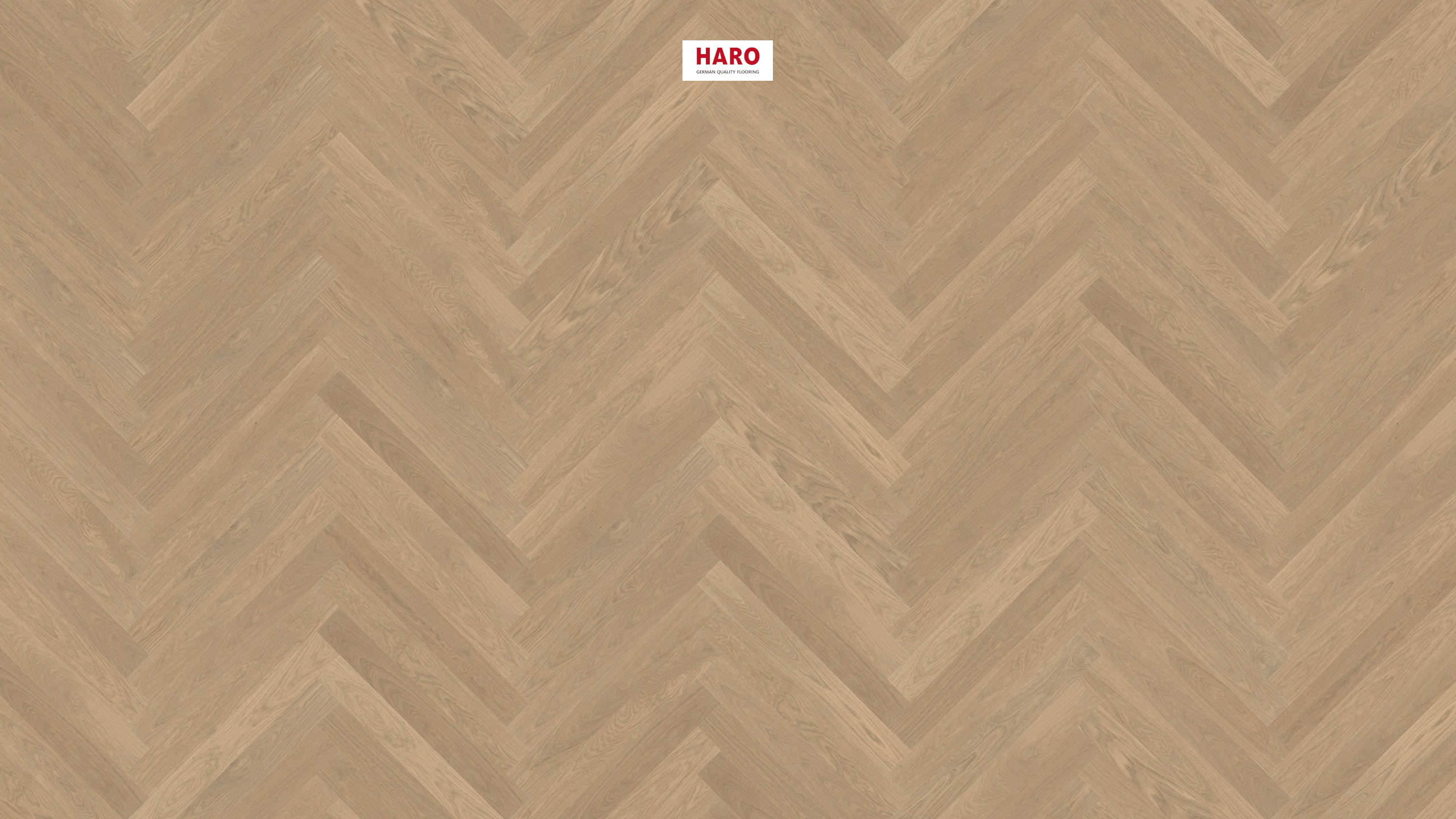 HARO PARQUET 4000 Listone Prestige Rovere grigio sabbia Markant spazzolato naturaDur Maschio/femmina