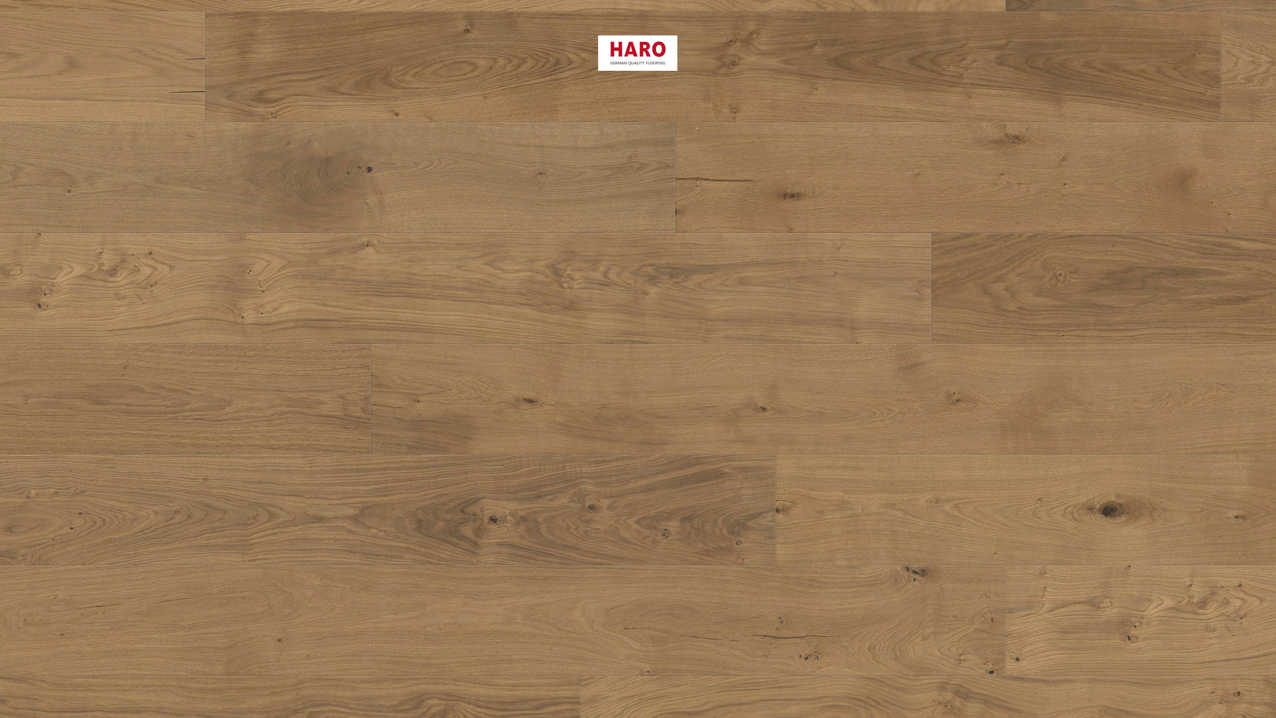 HARO PARQUET 4000 Plancia Plaza 240 4B Rovere Sauvage spazzolato naturaDur Top Connect