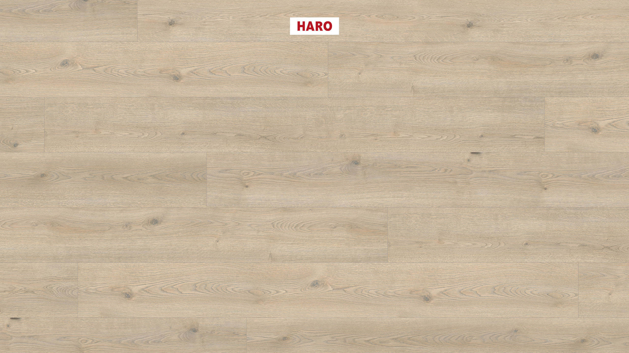 HARO Pavimento in laminato TRITTY 200 Aqua Gran Via 4B Rovere Contura grigio litico* authentic Silent Pro Top Connect