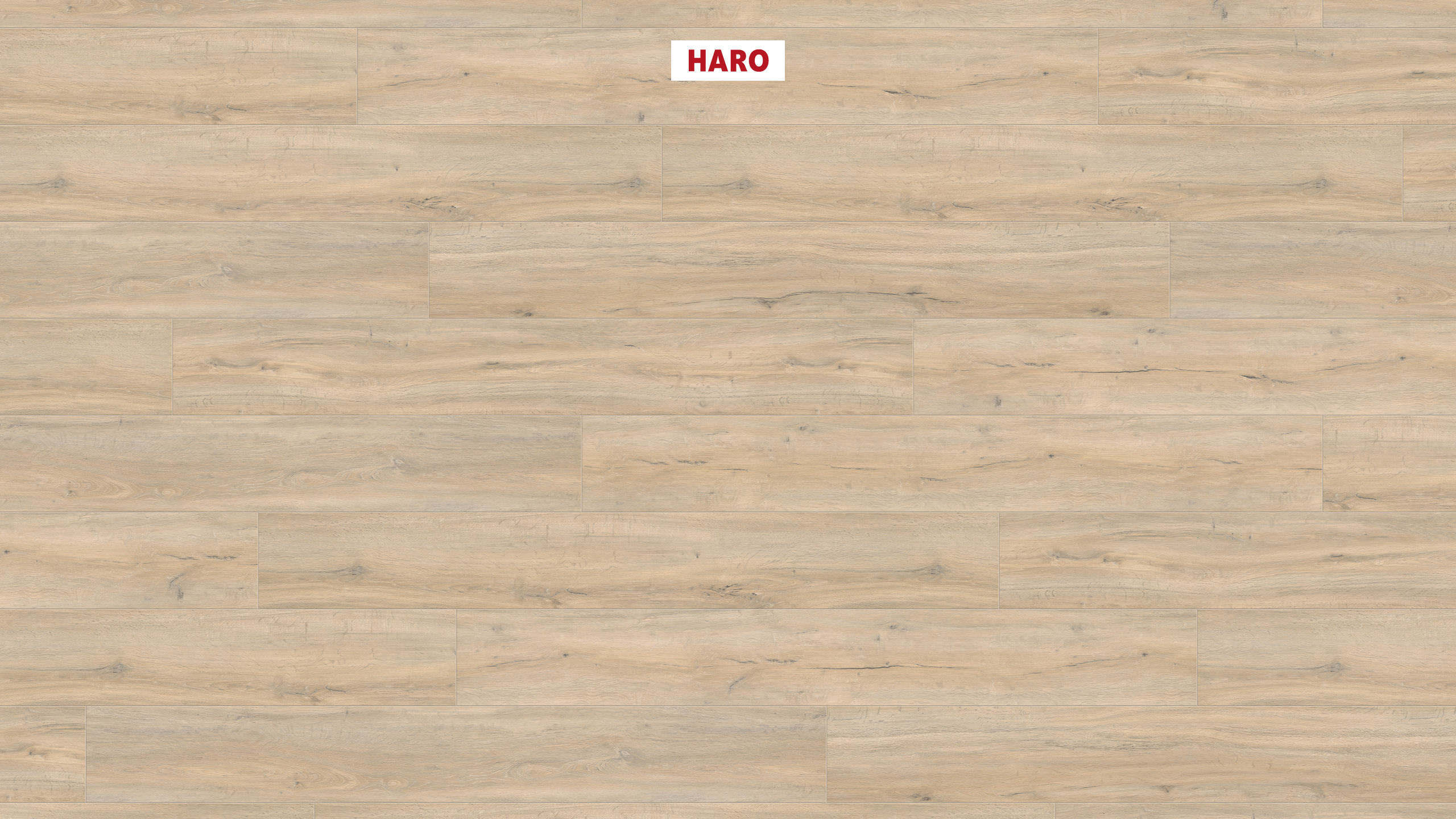 DISANO by HARO LifeAqua Plancia XL 4B Rovere Jubilé* spazzolato Top Connect