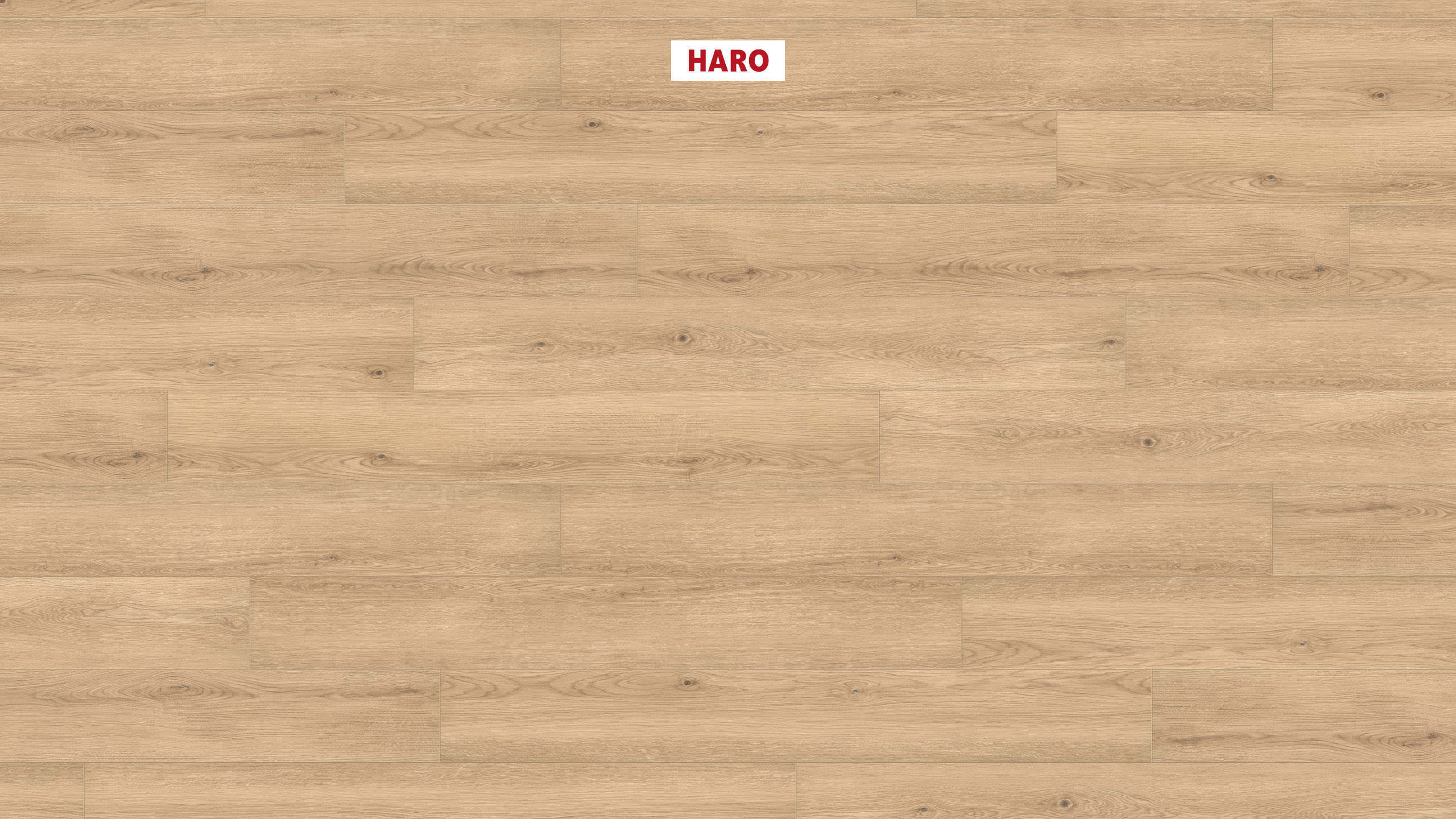 DISANO by HARO LifeAqua Plancia XL 4B Rovere Lavida* spazzolato Top Connect