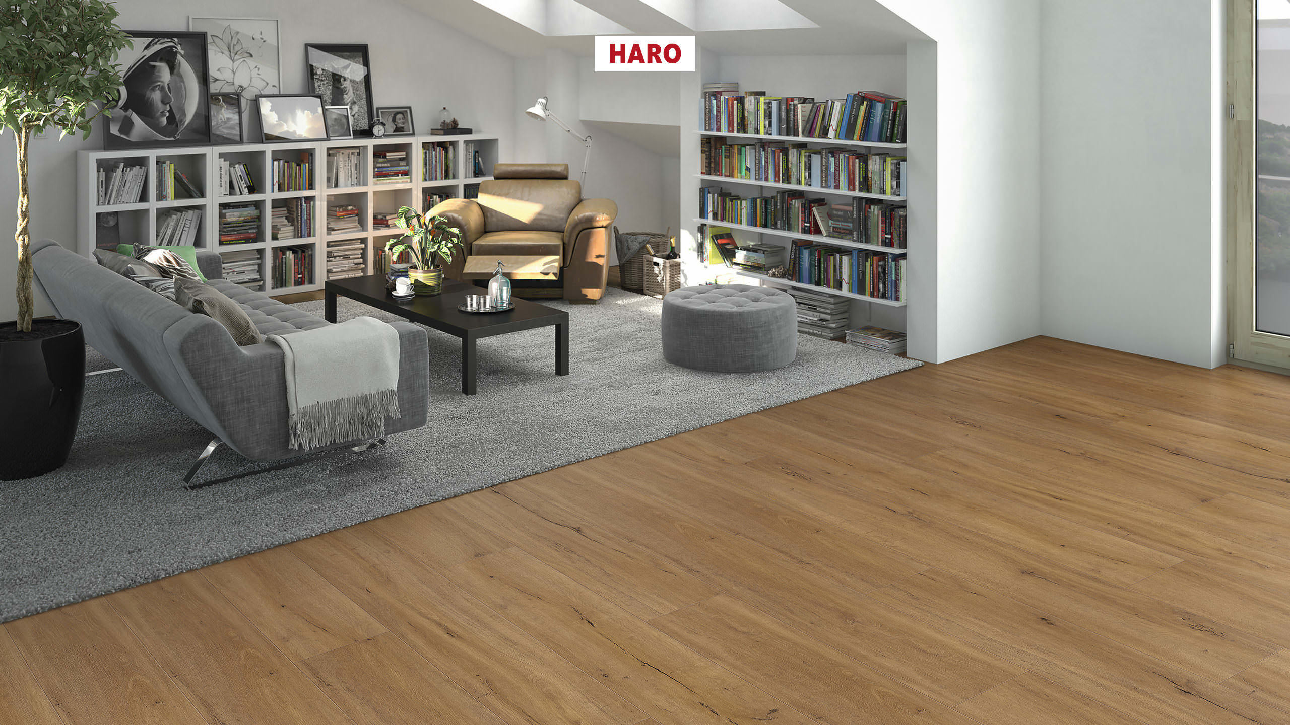 DISANO by HARO LifeAqua Plancia XL 4B Rovere Columbia natur* spazzolato Top Connect