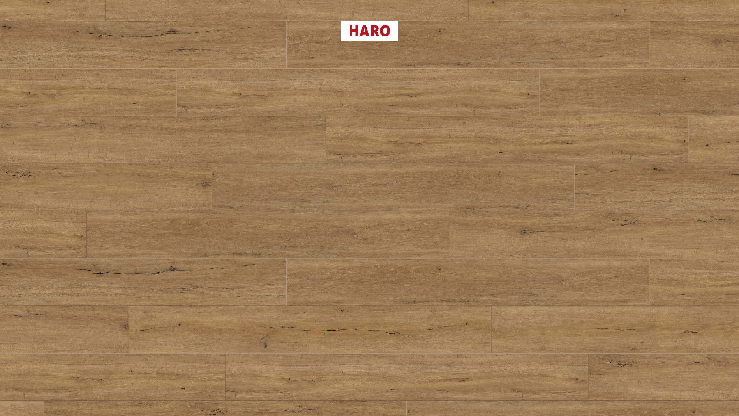 DISANO by HARO LifeAqua Plancia XL 4B Rovere Columbia natur* spazzolato Top Connect