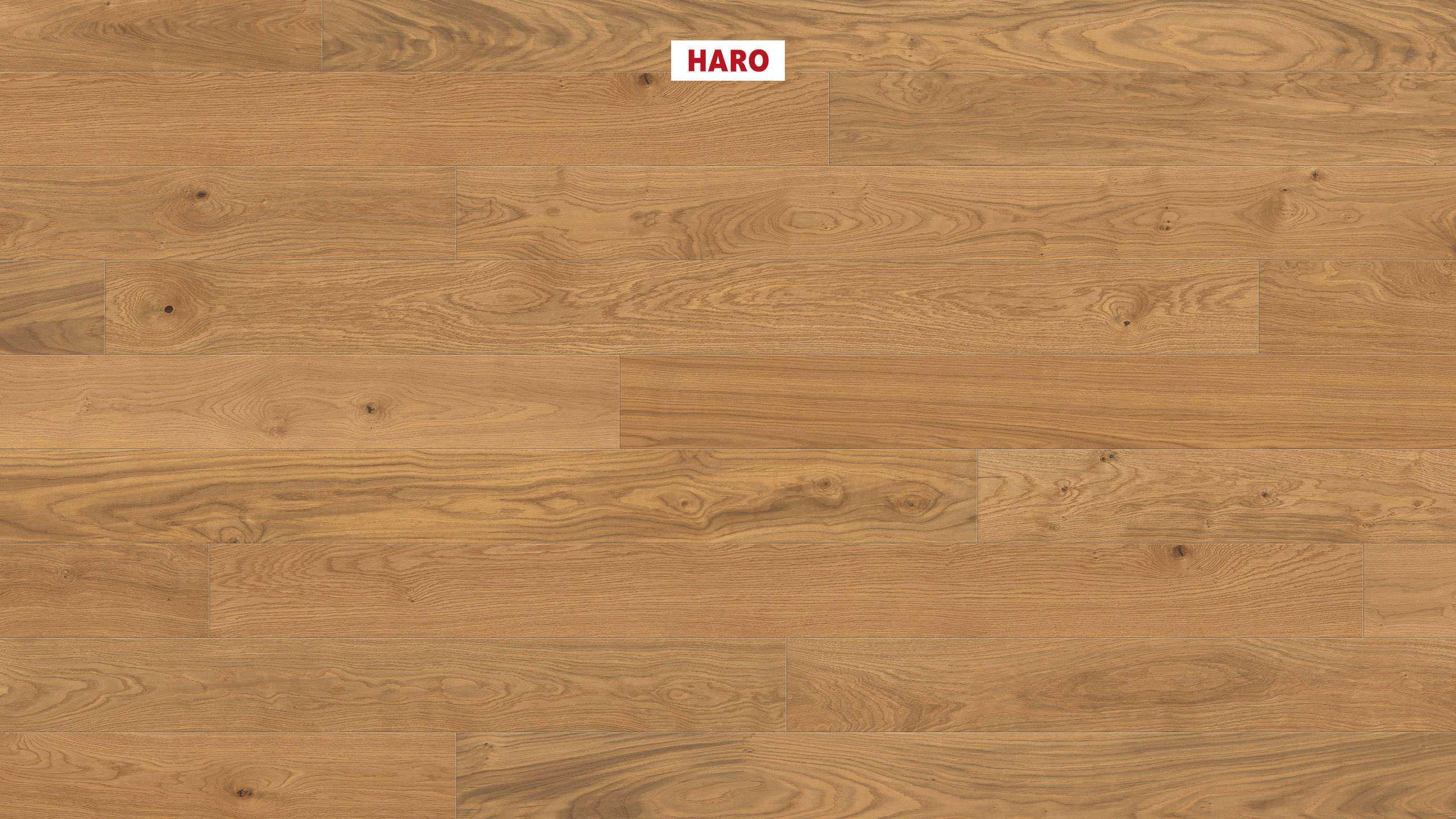 HARO PARQUET 4000 Plancia Maxim 4B Rovere Markant spazzolato naturaDur Maschio/femmina