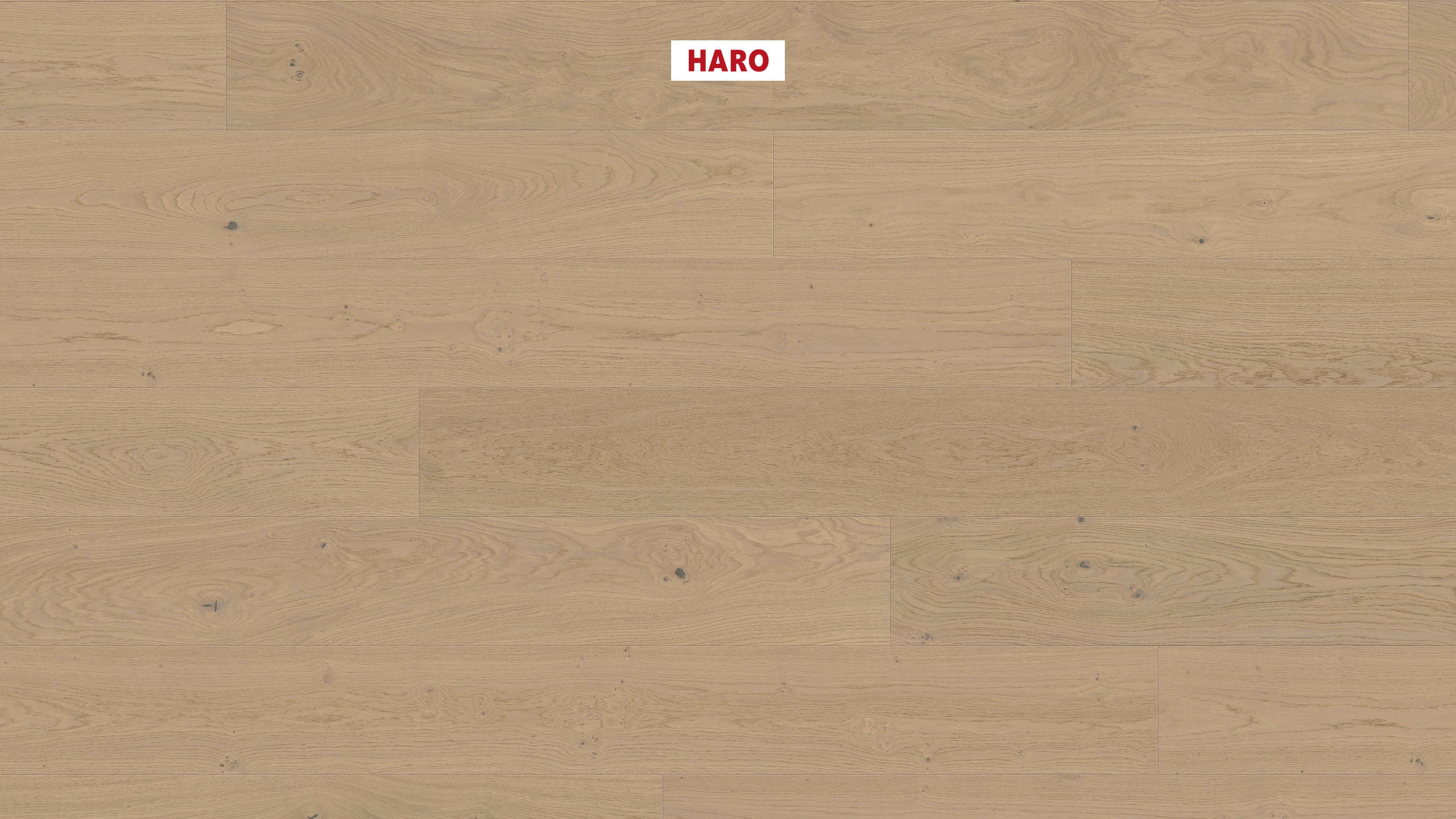 HARO PARQUET 4000 Plancia Plaza 240 4B Rovere grigio sabbia Markant spazzolato naturaDur Top Connect