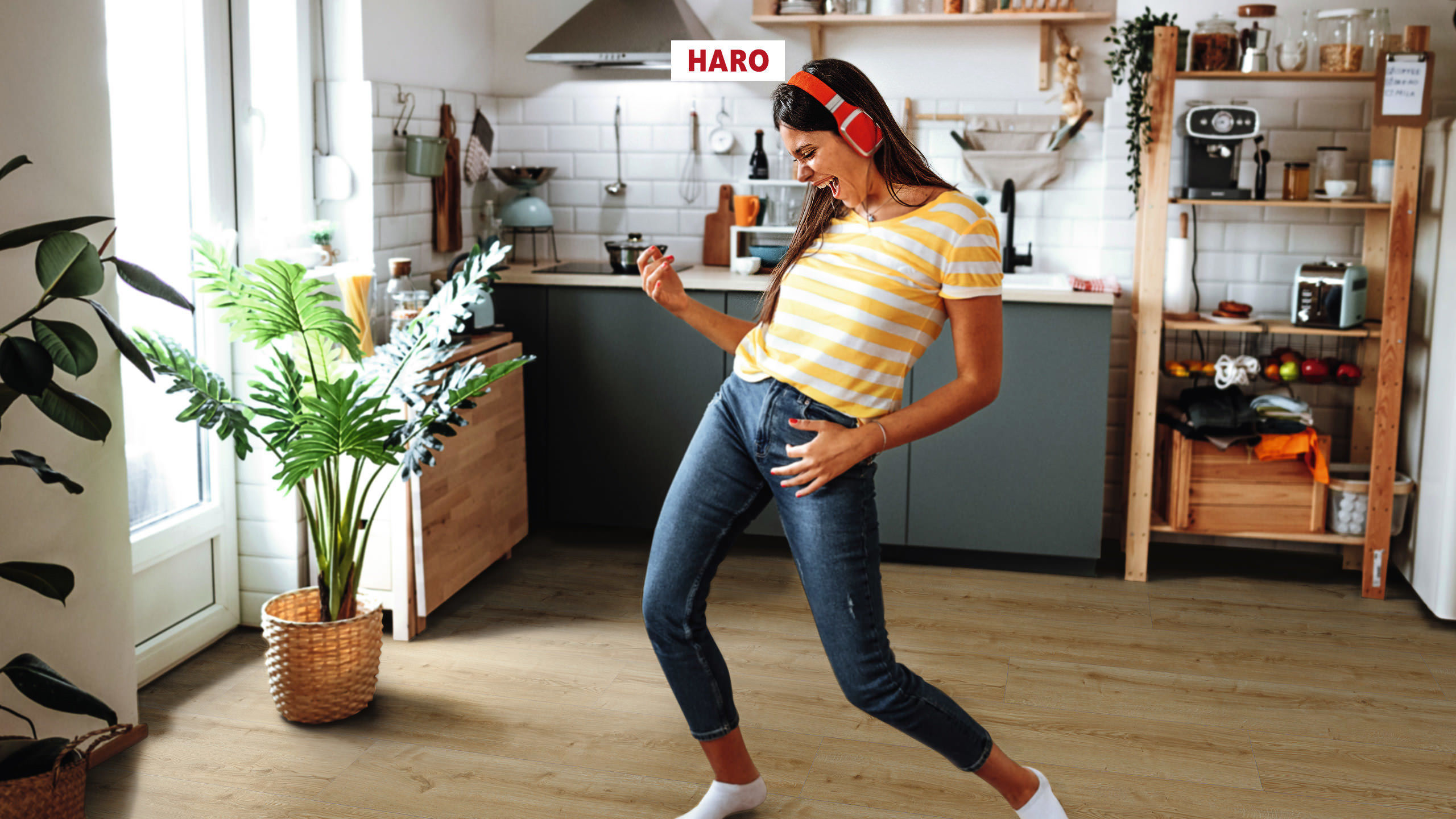 DISANO by HARO WaveAqua Plancia XL 4B Rovere Ontario puro* authentic Top Connect