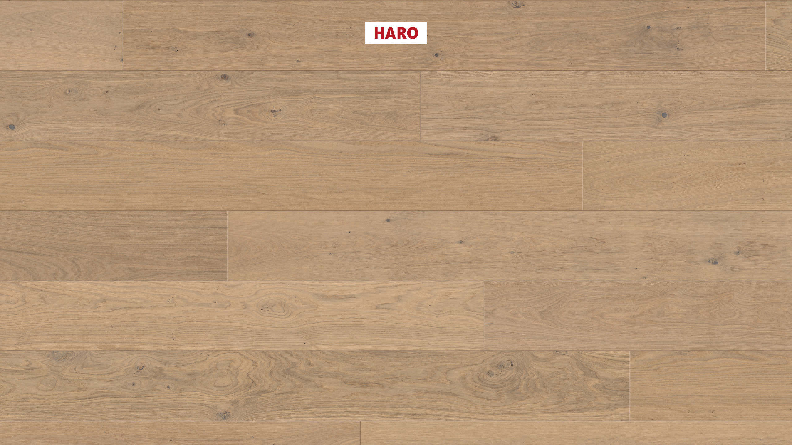 HARO PARQUET 4000 Plancia Plaza 240 4B Rovere bianco chiaro Sauvage spazzolato naturaLin plus Top Connect