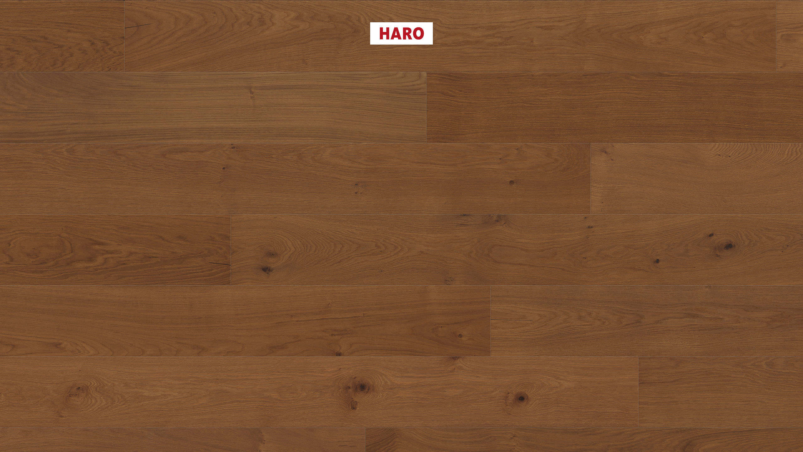 HARO PARQUET 4000 Plancia Plaza 240 4B Rovere anticato Markant spazzolato naturaDur Top Connect