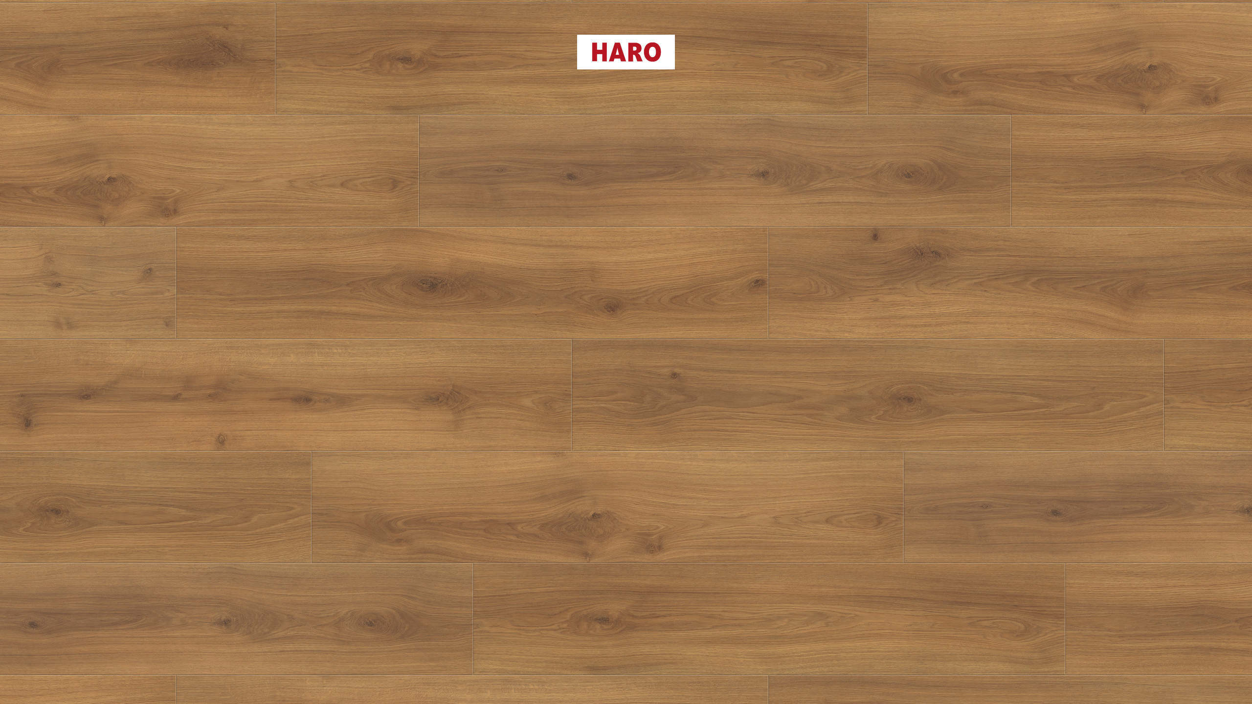 HARO Pavimento in laminato TRITTY 100 Campus 4B Rovere Emilia miele* authentic soft Top Connect