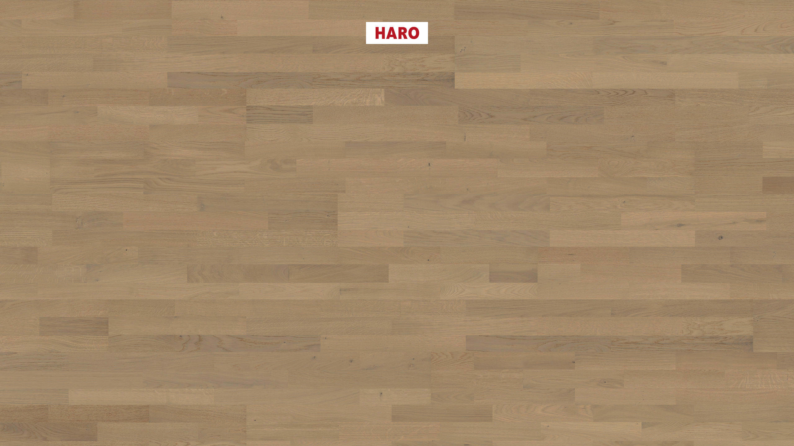 HARO PARQUET 4000 3-strip Rovere grigio sabbia Naturale spazzolato naturaLin plus Top Connect