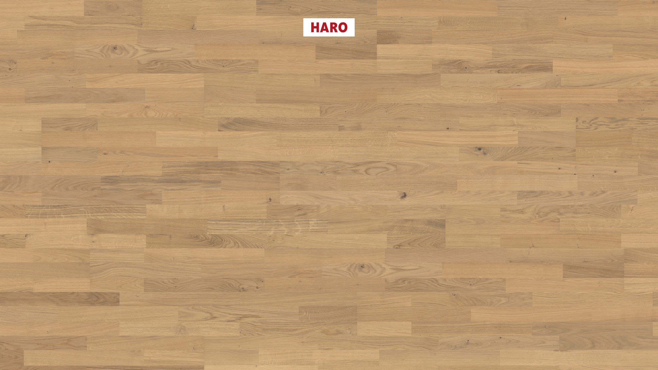 HARO PARQUET 4000 3-strip Rovere invisible Naturale spazzolato naturaLin plus Top Connect