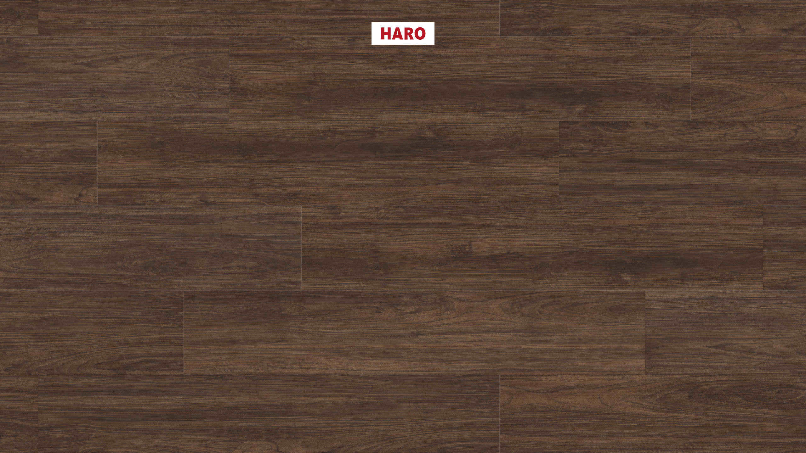 DISANO by HARO Saphir Plancia 4BM Noce* spazzolato Top Connect