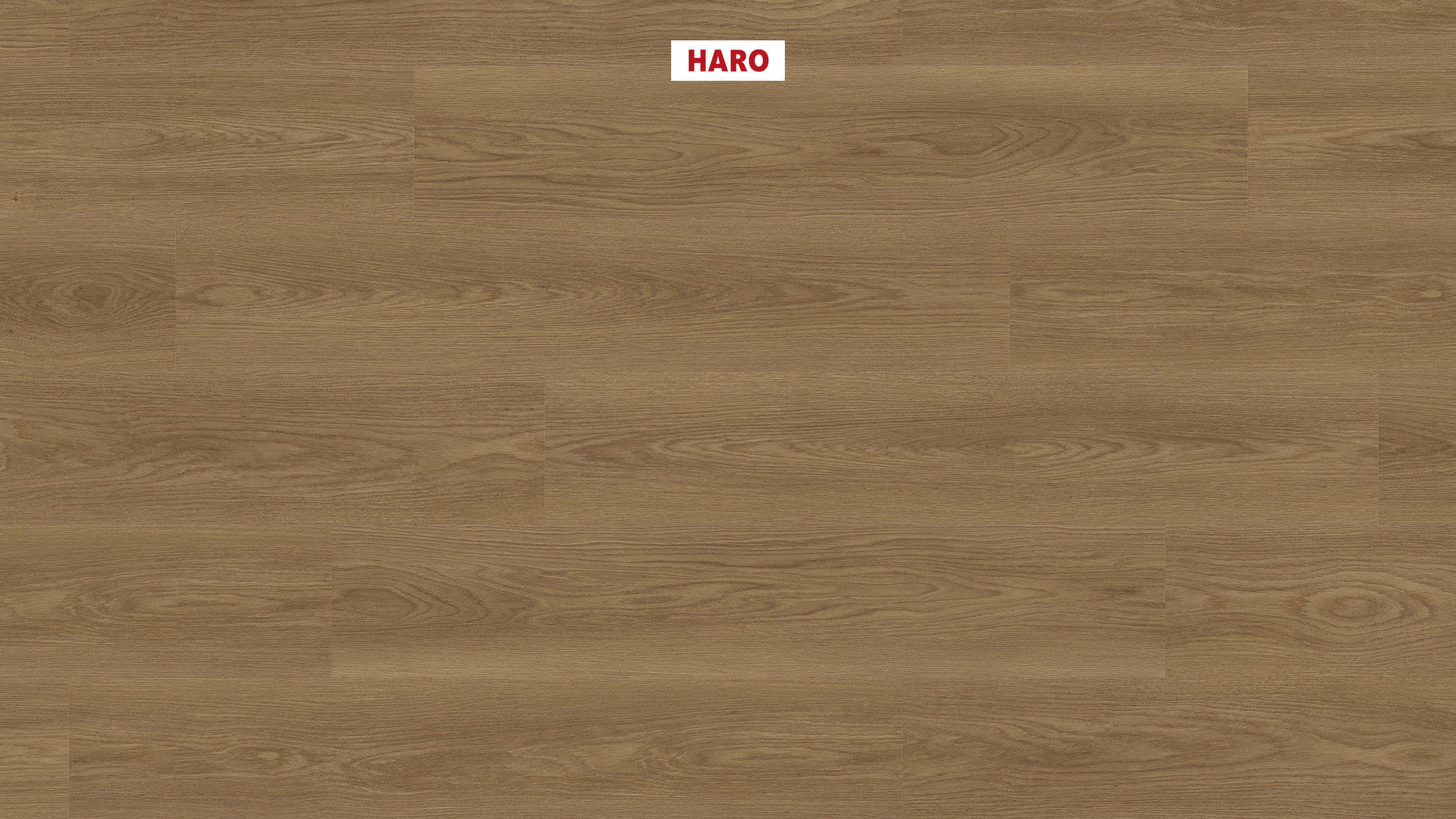 DISANO by HARO Saphir Plancia 4BM Rovere Picardie natur* authentic Top Connect