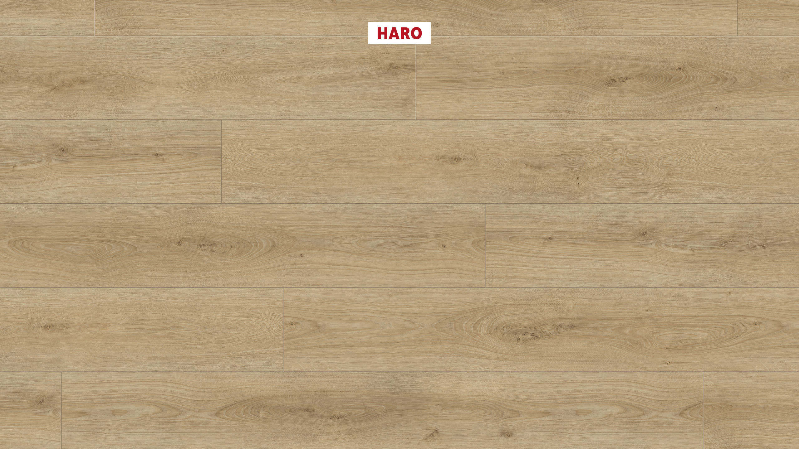 DISANO by HARO LifeAqua Plancia XL 4B Rovere Sheffield puro* authentic Top Connect