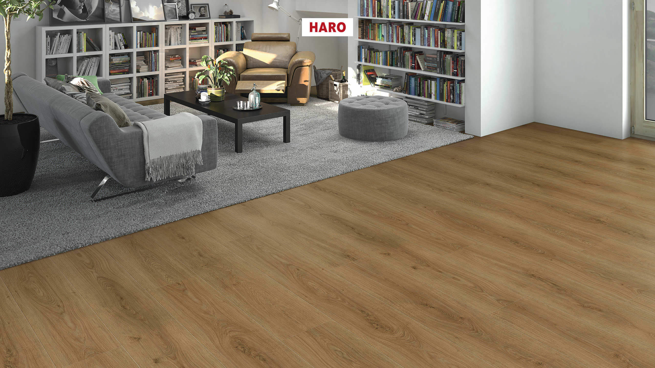 DISANO by HARO LifeAqua Plancia XL 4B Rovere Sheffield natur* authentic Top Connect