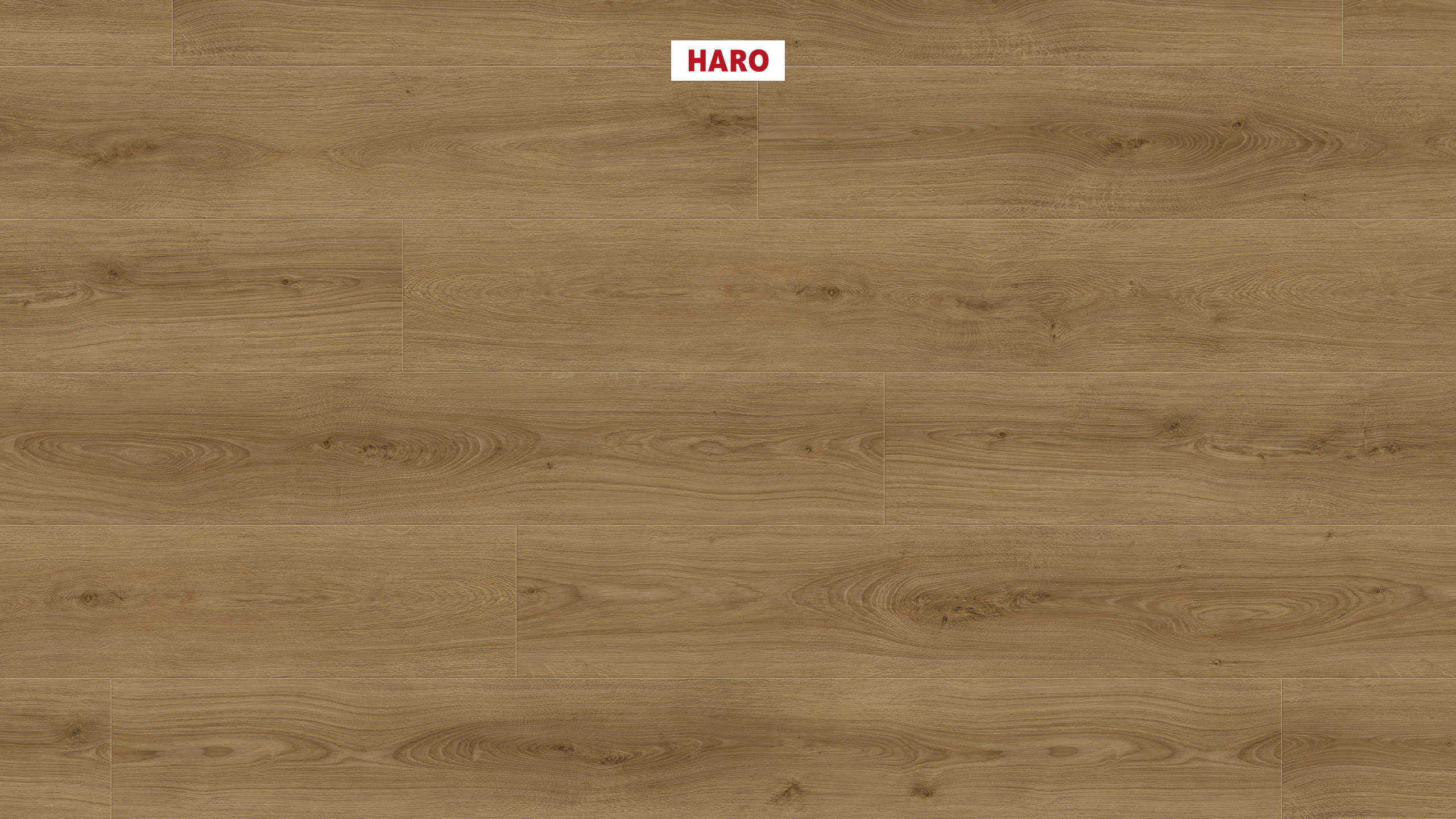 DISANO by HARO LifeAqua Plancia XL 4B Rovere Sheffield natur* authentic Top Connect