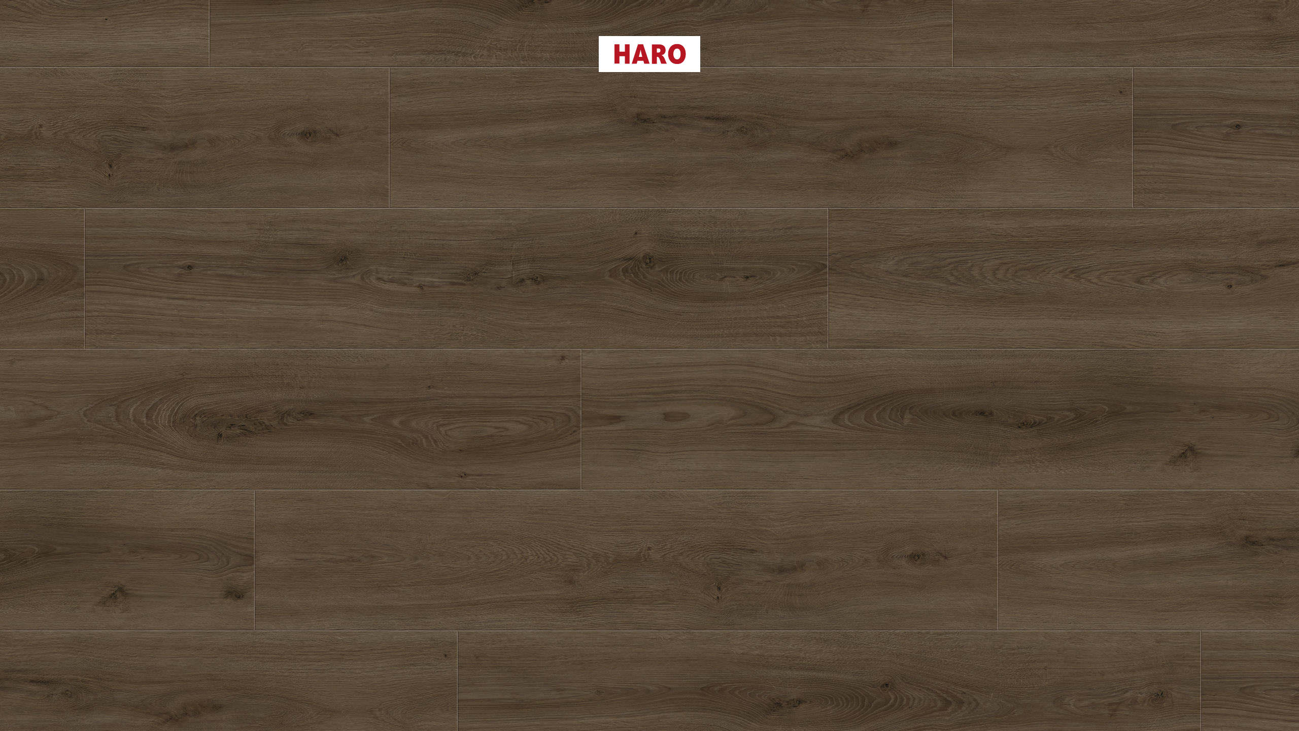 DISANO by HARO LifeAqua Plancia XL 4B Rovere Sheffield marrone* authentic Top Connect