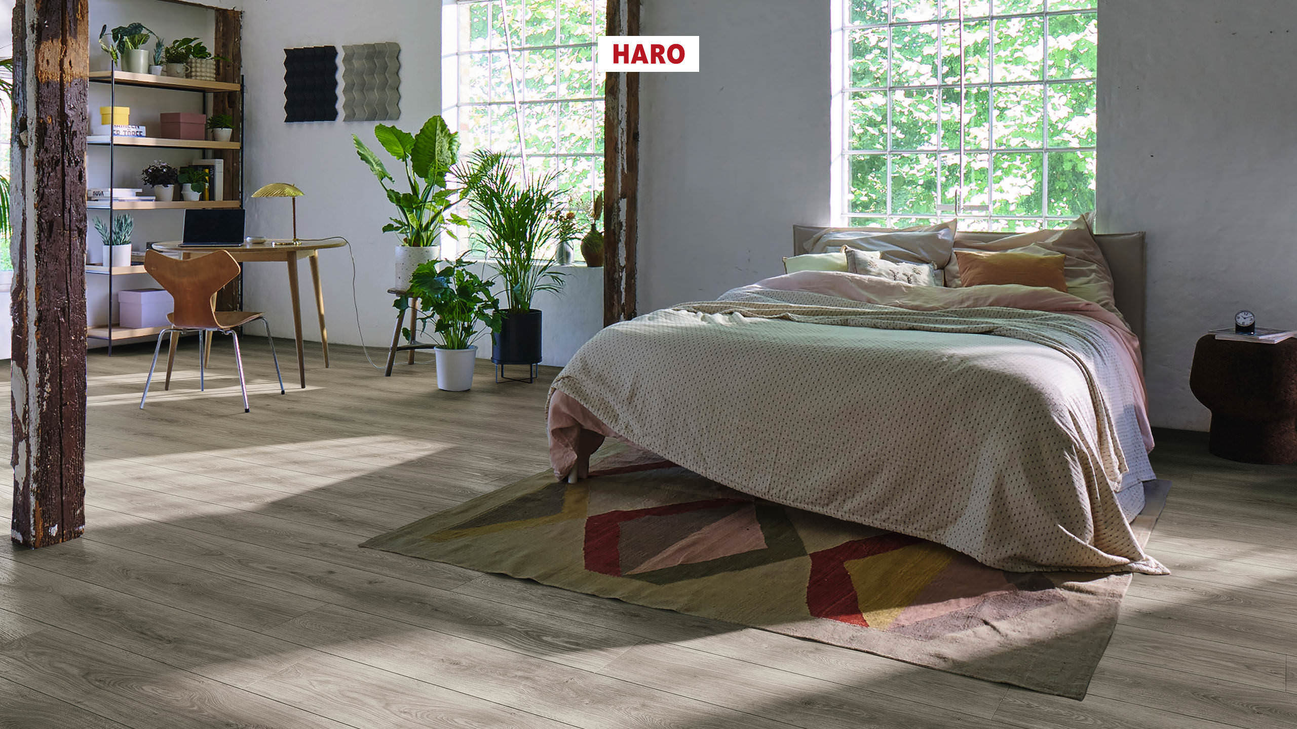 DISANO by HARO LifeAqua Plancia XL 4B Rovere Sheffield grigio* authentic Top Connect