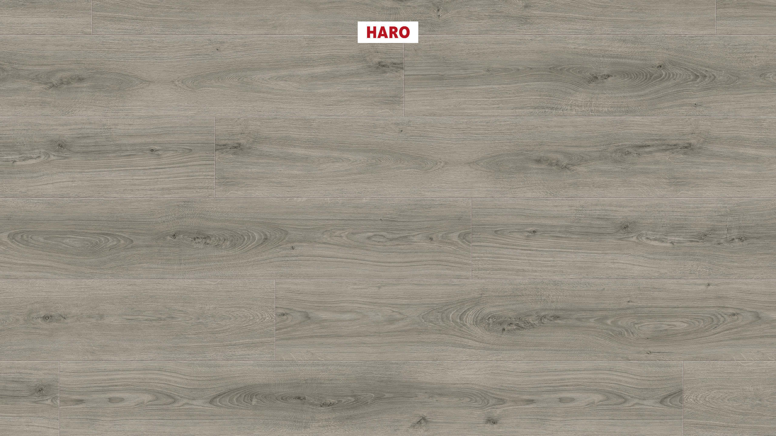 DISANO by HARO LifeAqua Plancia XL 4B Rovere Sheffield grigio* authentic Top Connect