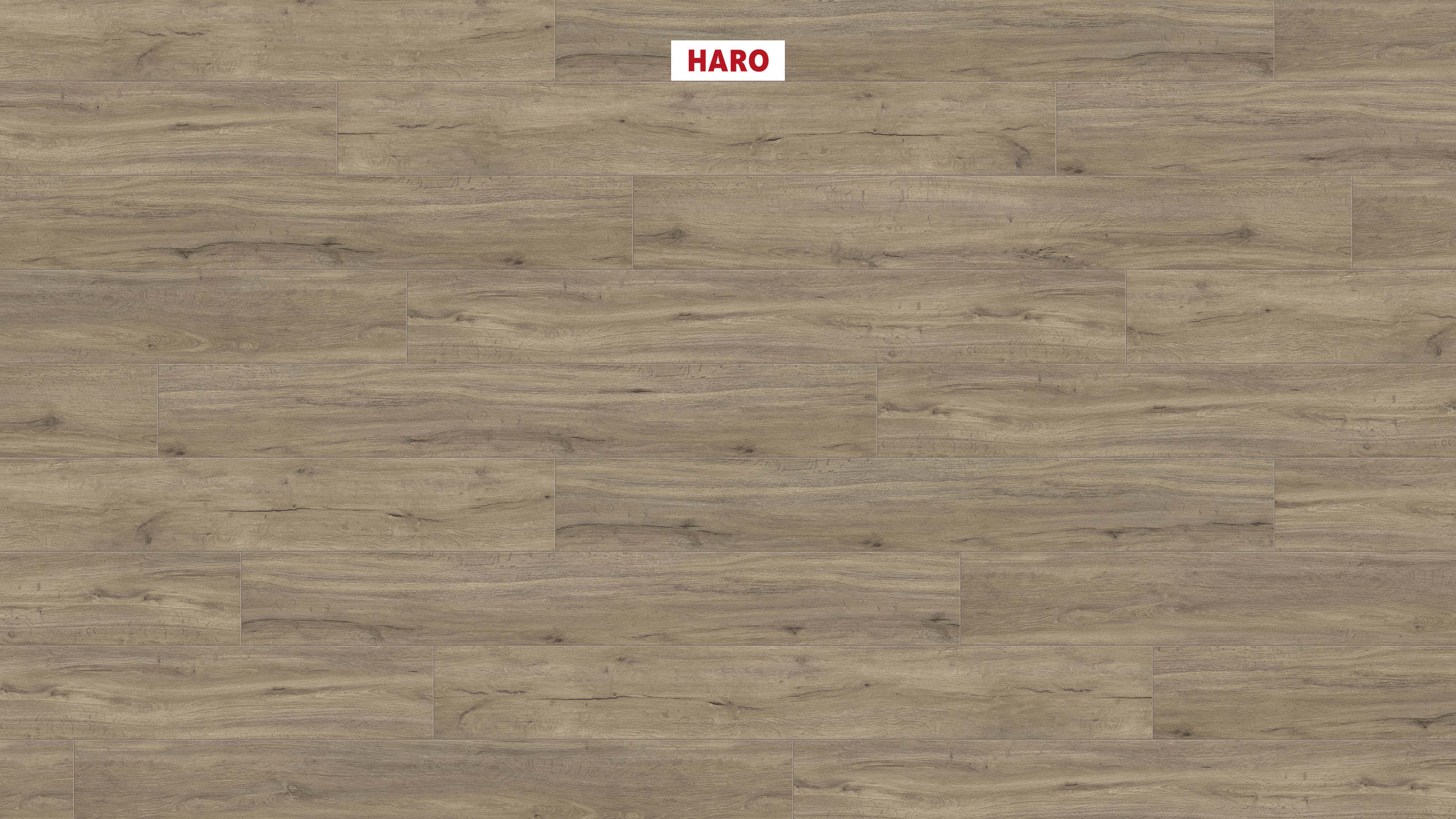 DISANO by HARO LifeAqua Plancia 4B Rovere Columbia grigio* spazzolato Top Connect