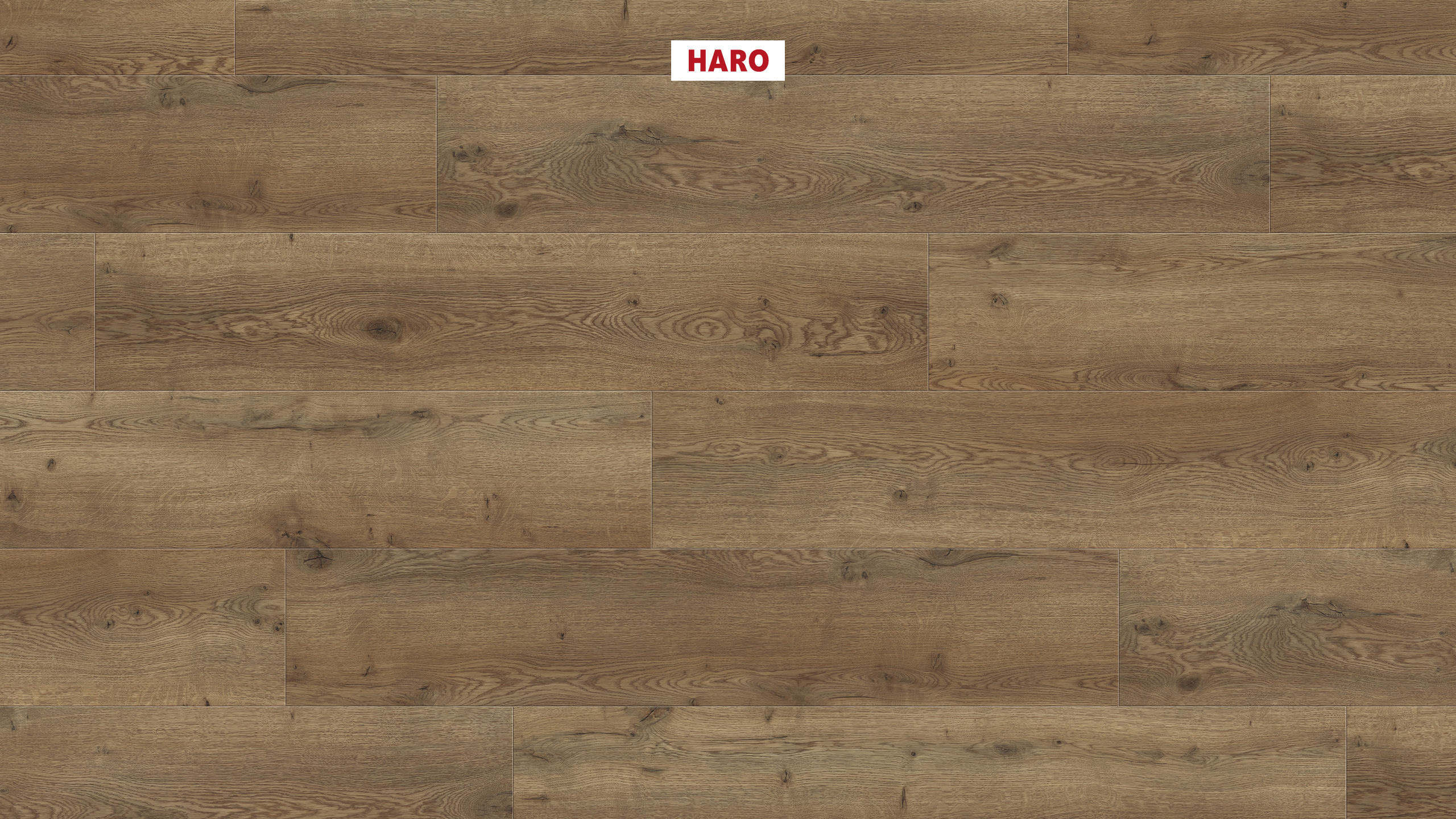 DISANO by HARO LifeAqua Plancia 4B Rovere Oxford* spazzolato Top Connect