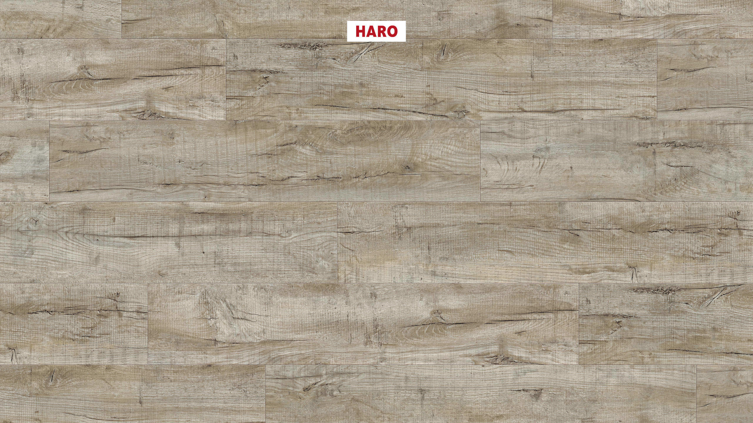 DISANO by HARO LifeAqua Plancia 4B Rovere Cardiff bianco* spazzolato Top Connect