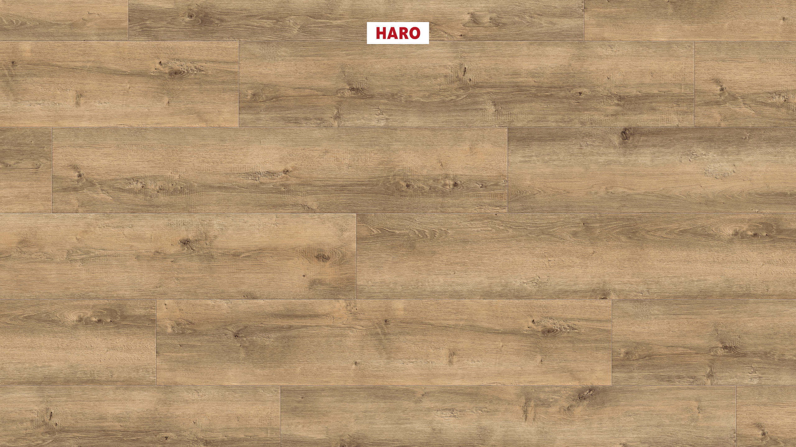 DISANO by HARO LifeAqua Plancia 4B Rovere Yorkshire puro* spazzolato Top Connect