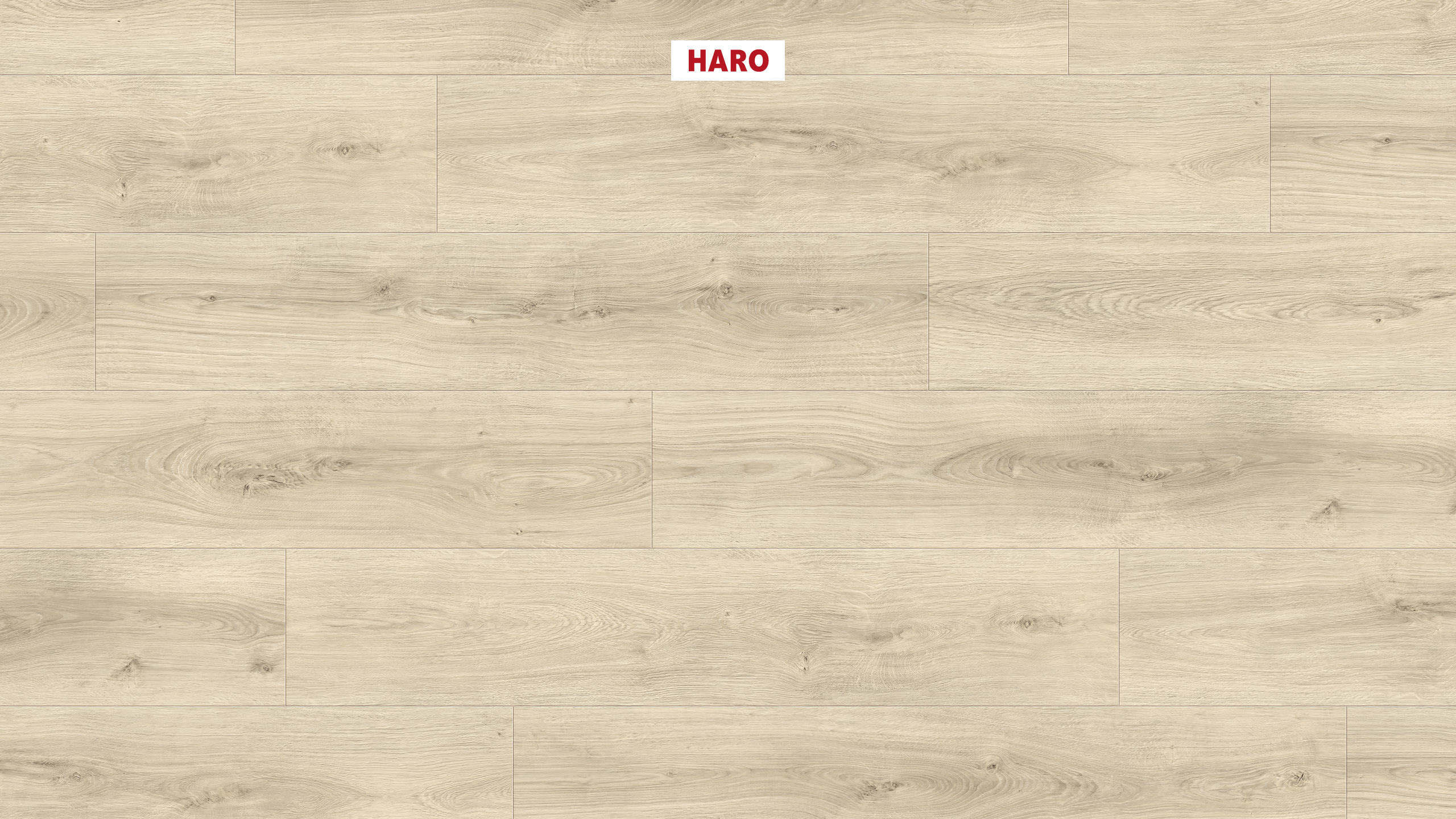 DISANO by HARO LifeAqua Plancia 4B Rovere Sheffield bianco crema* authentic Top Connect