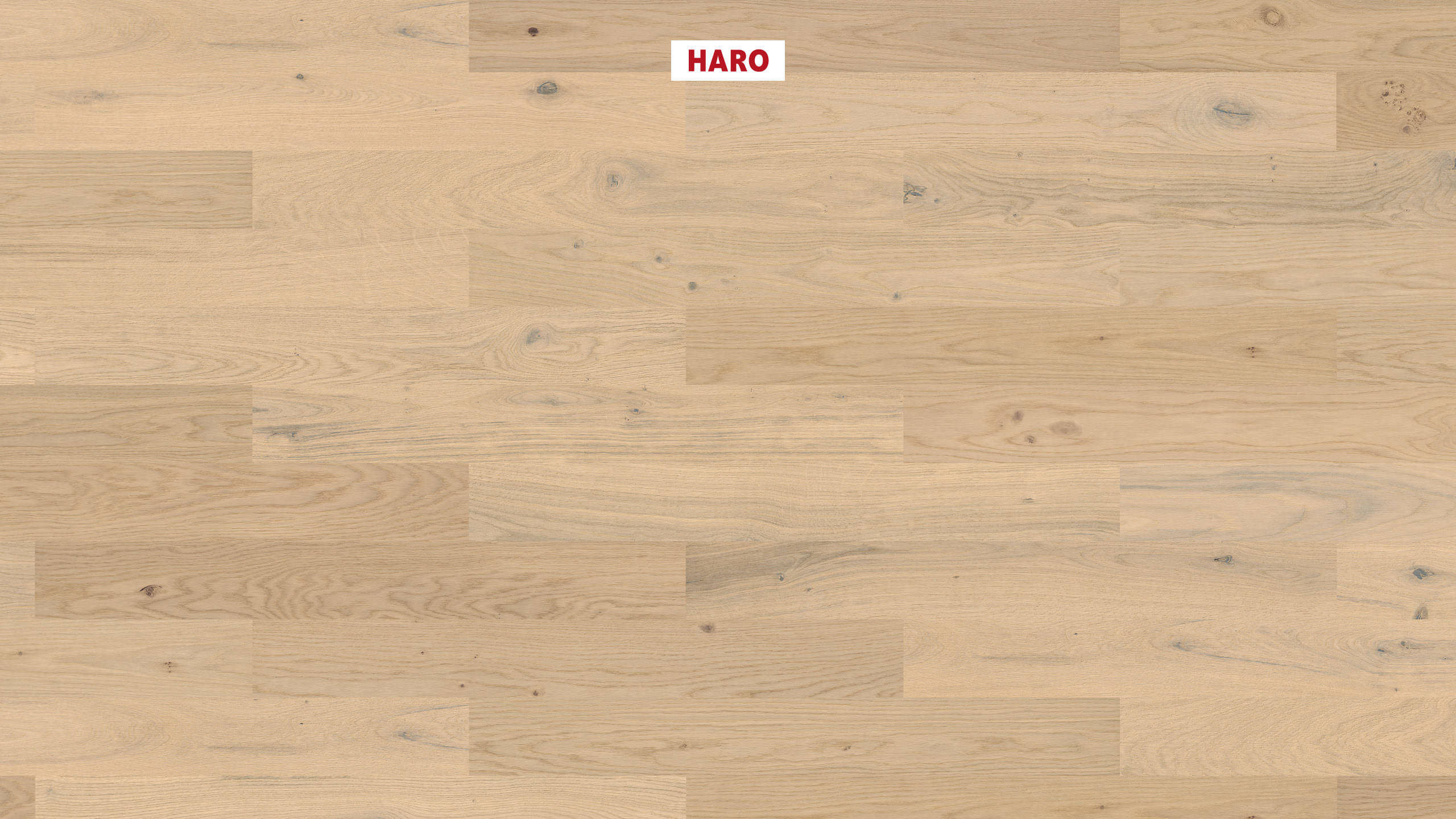 HARO PARQUET 4000 Listone Prestige Rovere bianco chiaro Sauvage spazzolato naturaDur Maschio/femmina