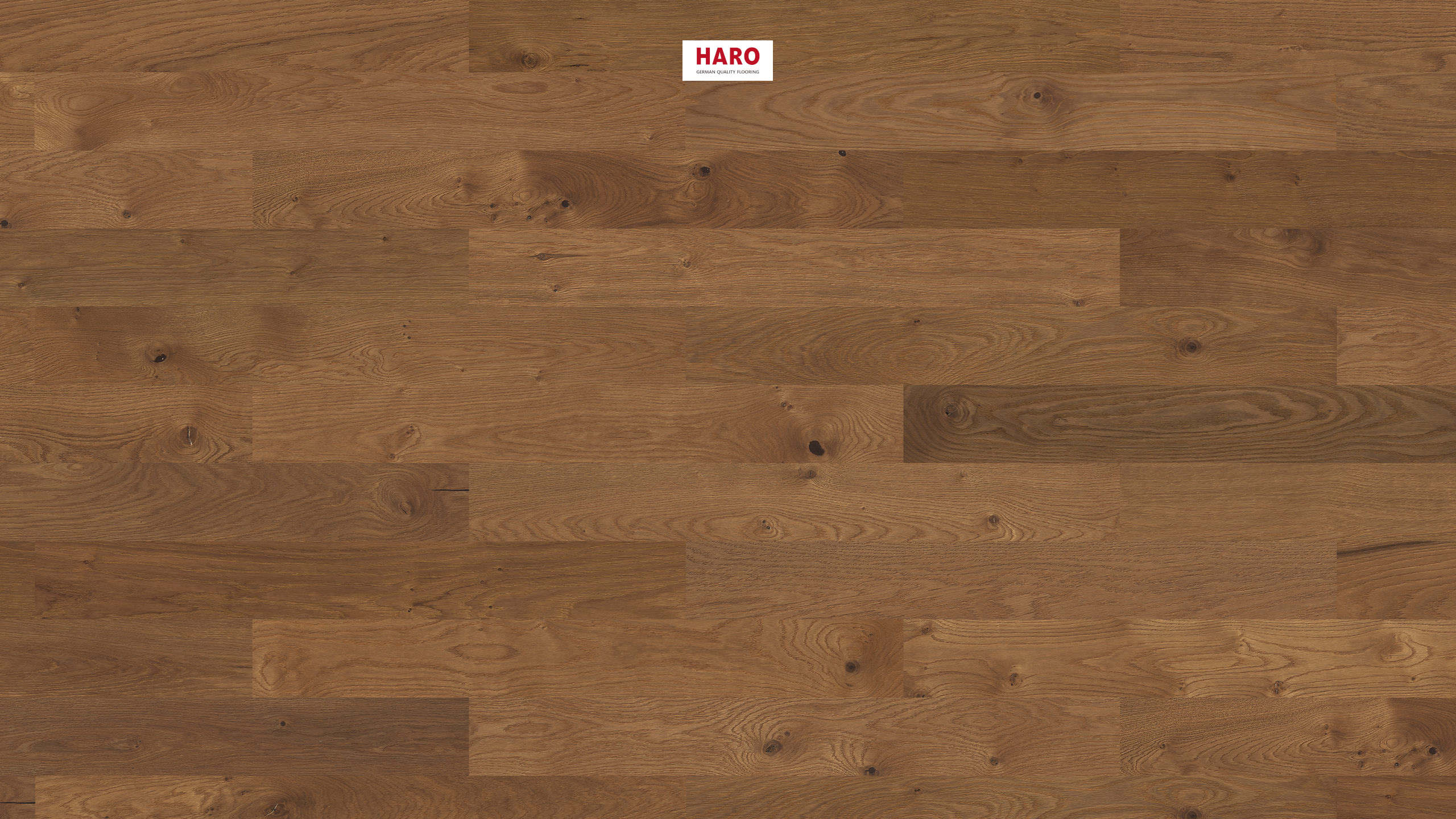 HARO PARQUET 4000 Listone Prestige Rovere anticato Sauvage spazzolato naturaDur Maschio/femmina