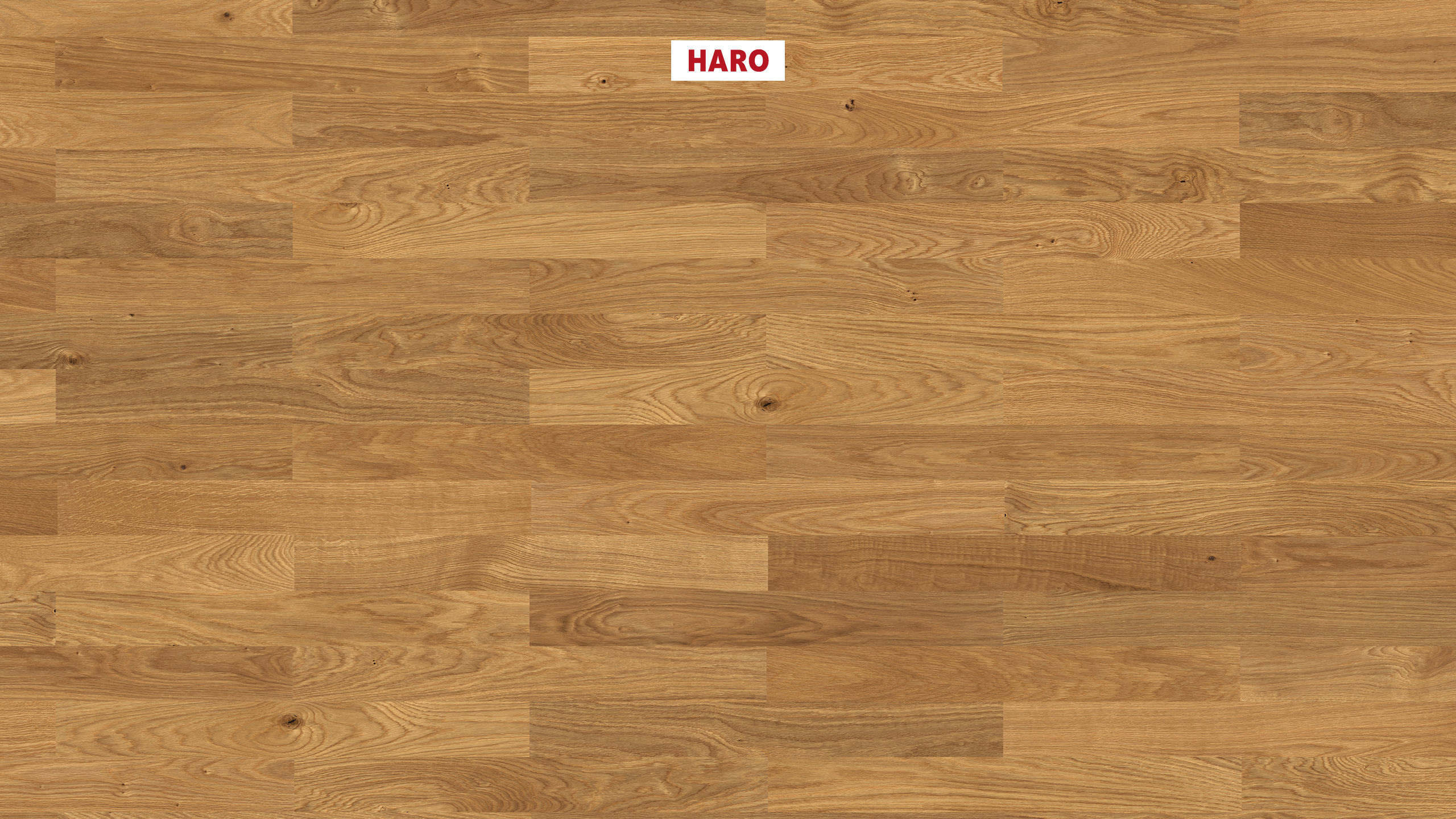 HARO PARQUET 4000 Listone Classico Rovere Naturale spazzolato naturaLin plus Maschio/femmina
