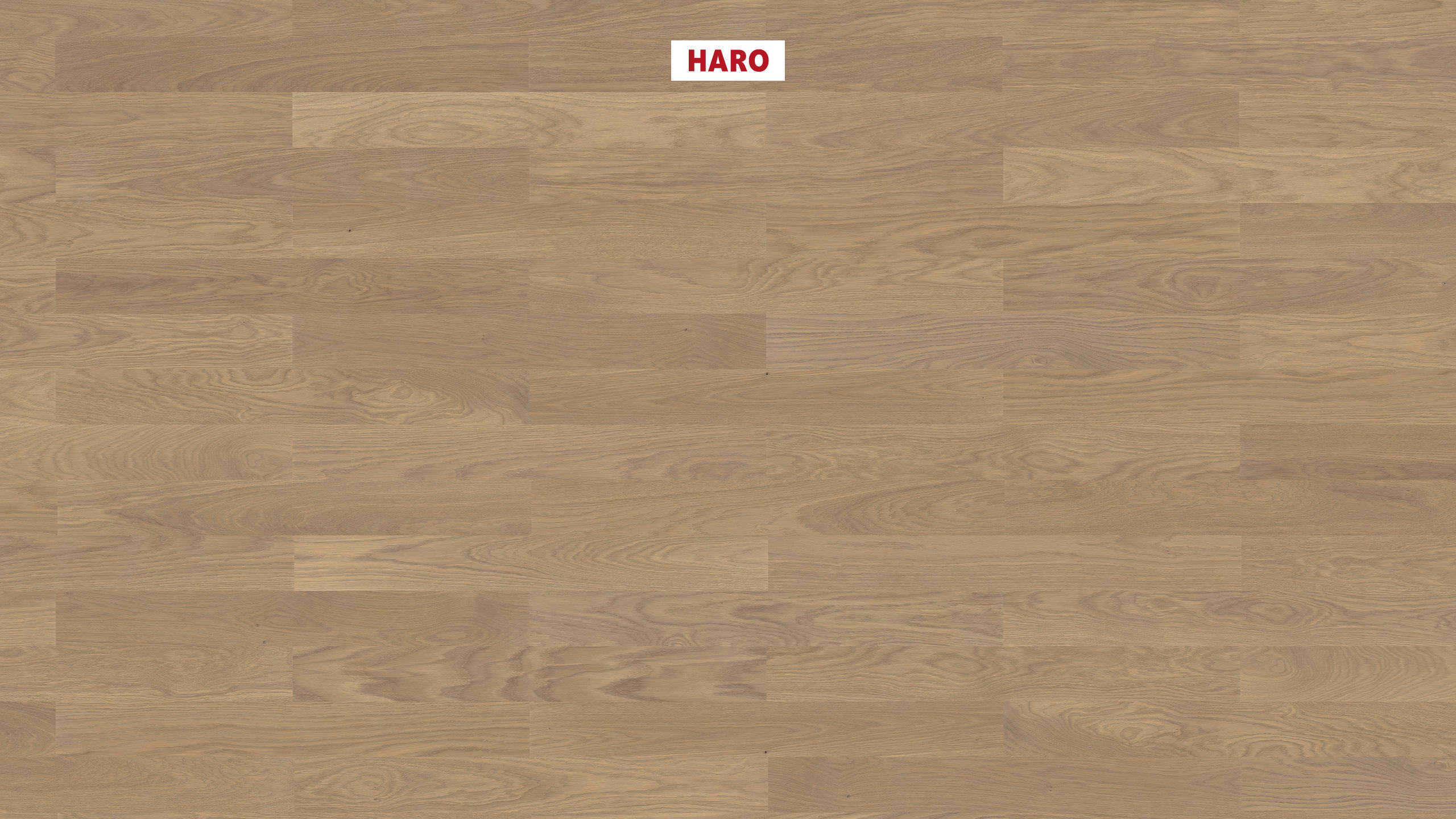 HARO PARQUET 4000 Listone Classico Rovere grigio sabbia Trend spazzolato naturaDur Maschio/femmina