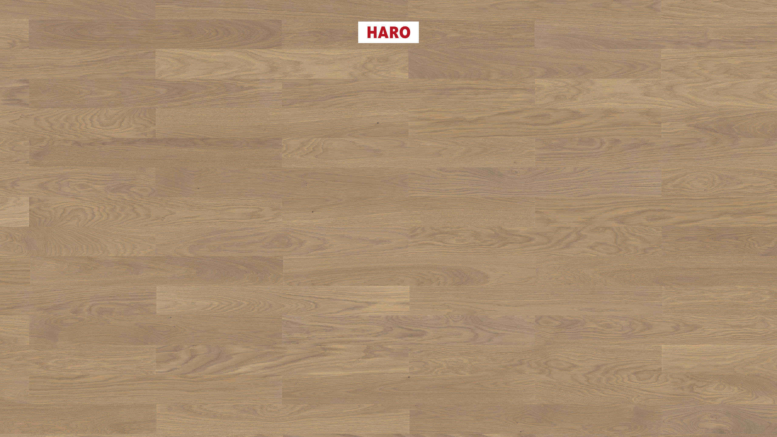 HARO PARQUET 4000 Listone Classico Rovere grigio sabbia Naturale spazzolato naturaDur Maschio/femmina