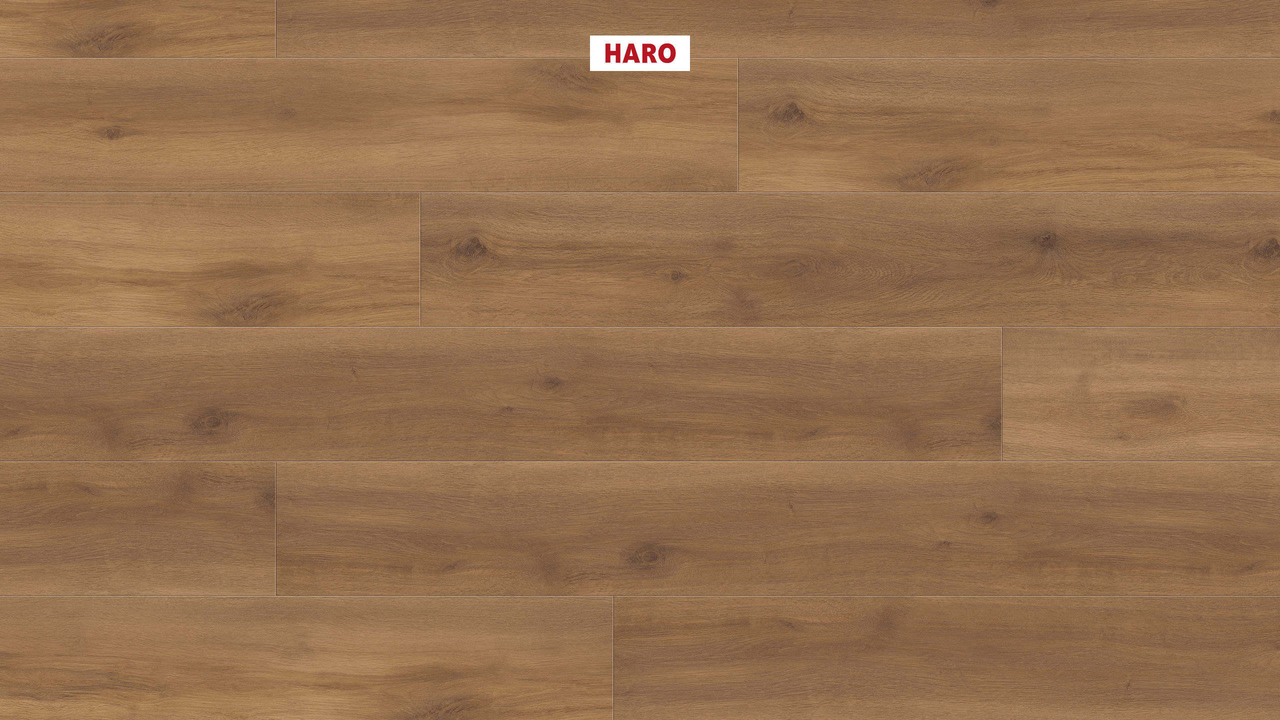 DISANO by HARO ClassicAqua Plancia XL 4B Rovere Provence natur* authentic Top Connect