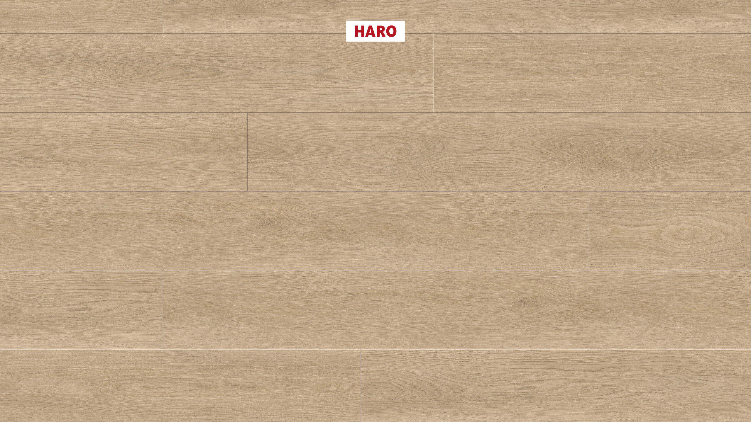 DISANO by HARO ClassicAqua Plancia XL 4B Rovere Picardie puro* authentic Top Connect