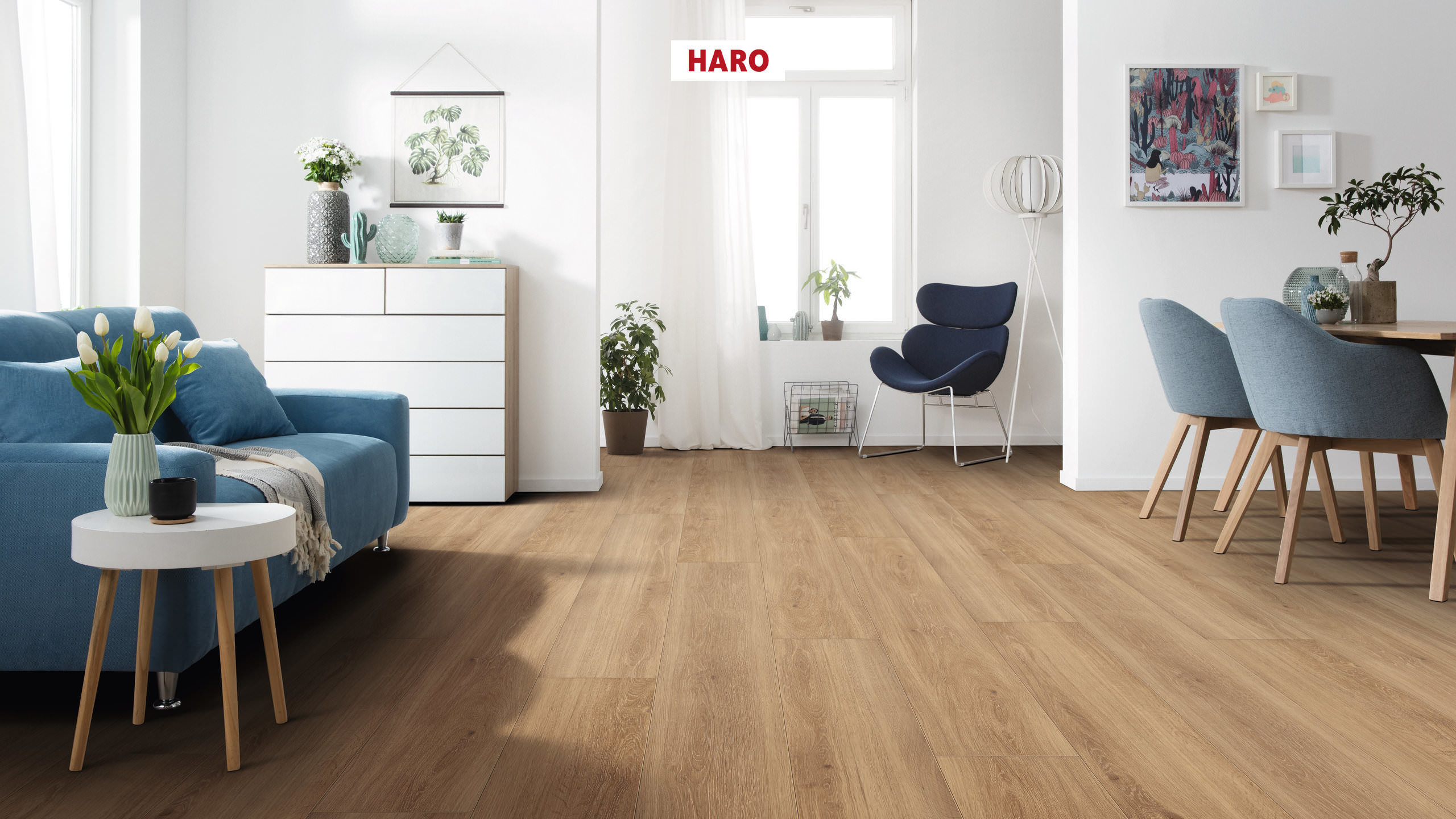 DISANO by HARO ClassicAqua Plancia XL 4B Rovere campo* spazzolato Top Connect