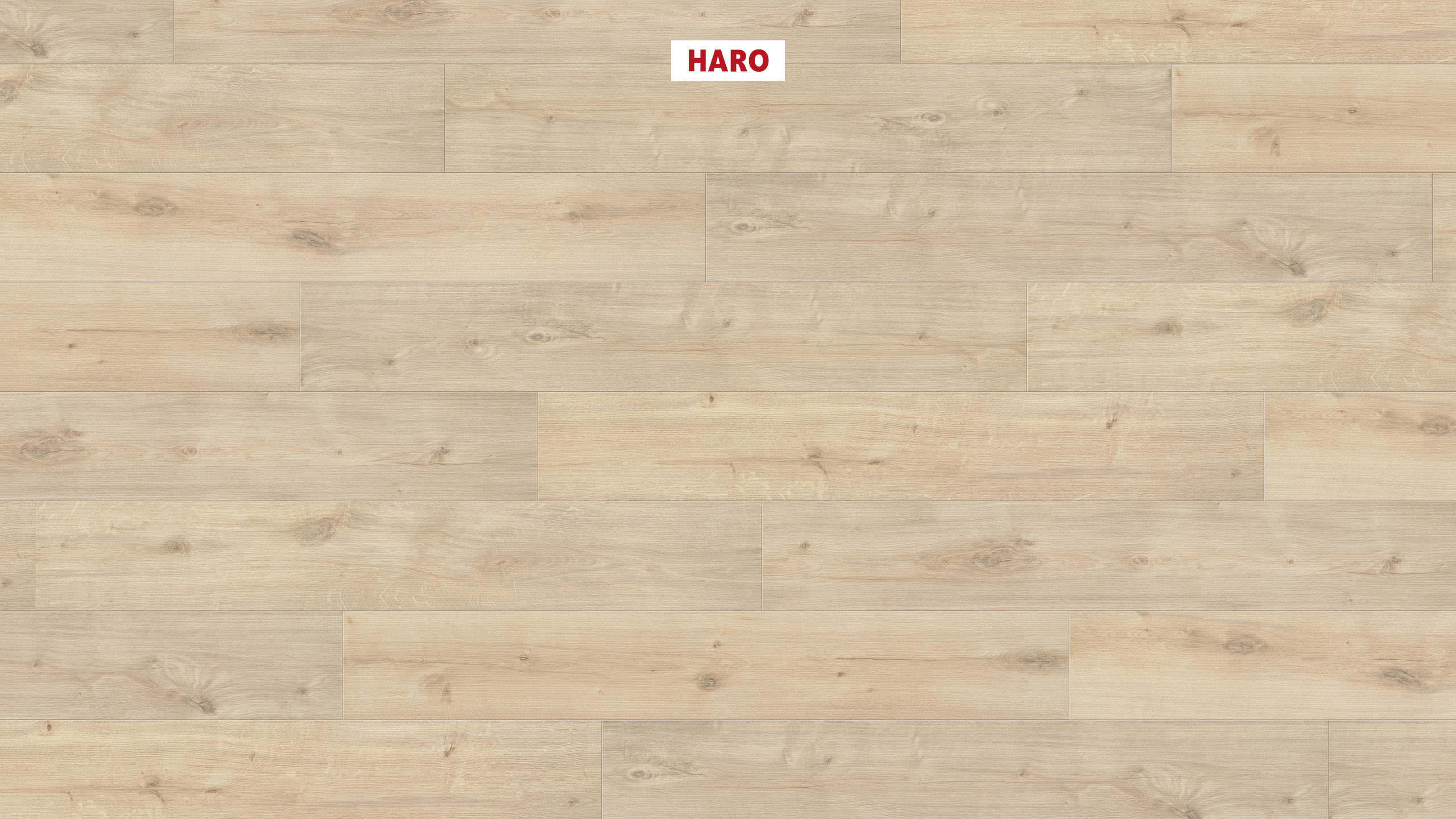 HARO Pavimento in laminato edizione speciale NKL31 Plancia Rovere Siena marrone bianco* spazzolato opaco Silent Pro Top Connect