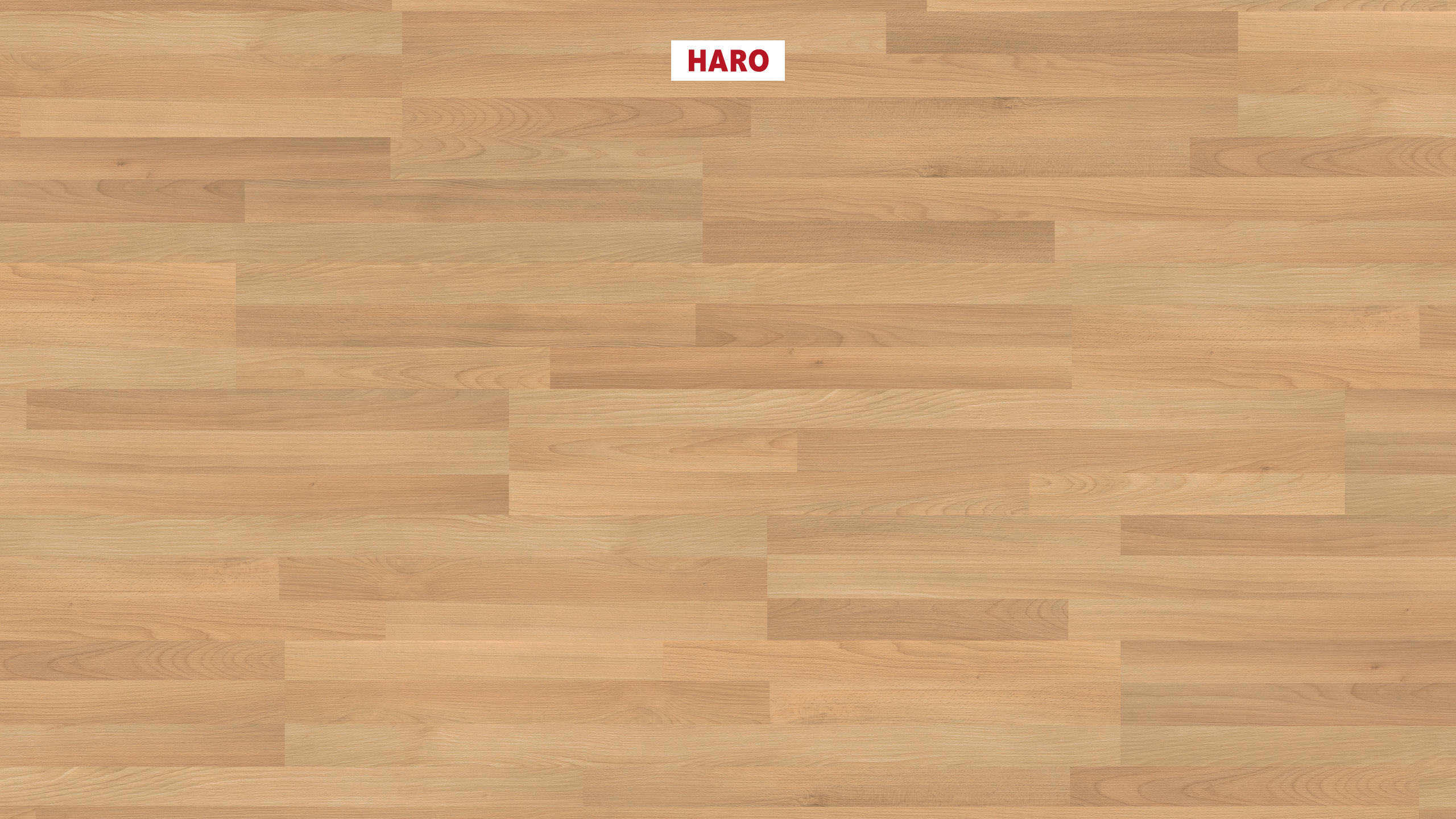 HARO Pavimento in laminato edizione speciale NKL31 3-strip Faggio* spazzolato opaco Silent Pro Top Connect