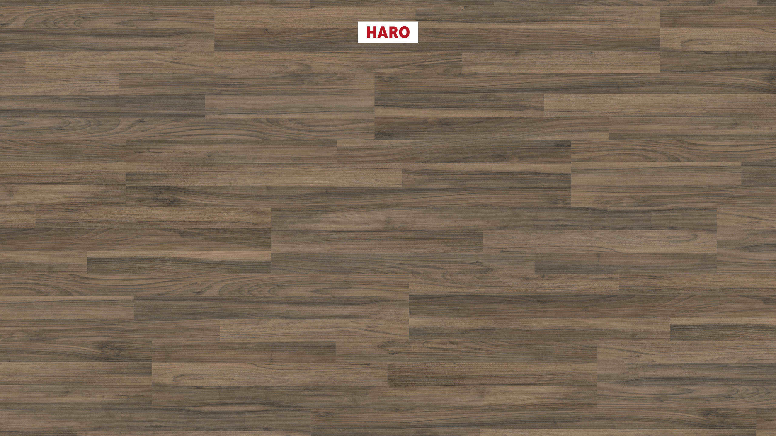 HARO Pavimento in laminato edizione speciale NKL31 3-strip Noce* spazzolato opaco Top Connect