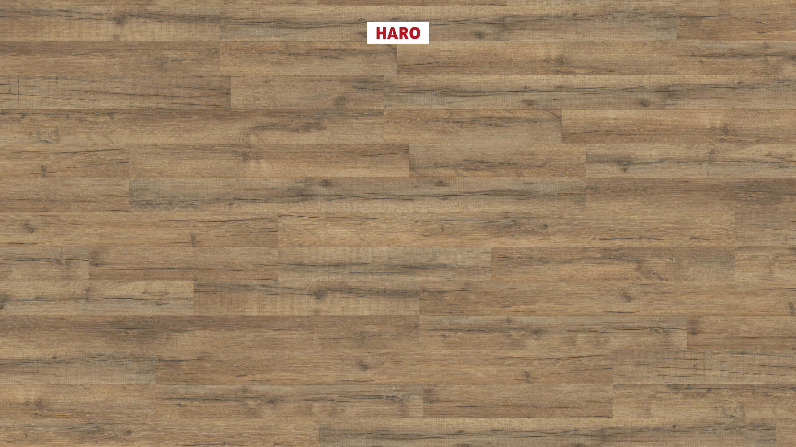 HARO Pavimento in laminato edizione speciale NKL31 2-strip Rovere Calabria* spazzolato opaco Top Connect