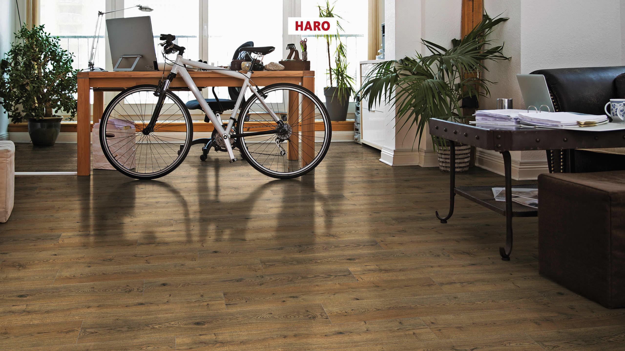 HARO Pavimento in laminato edizione speciale NKL31 Plancia Rovere Lombardia* spazzolato opaco Top Connect