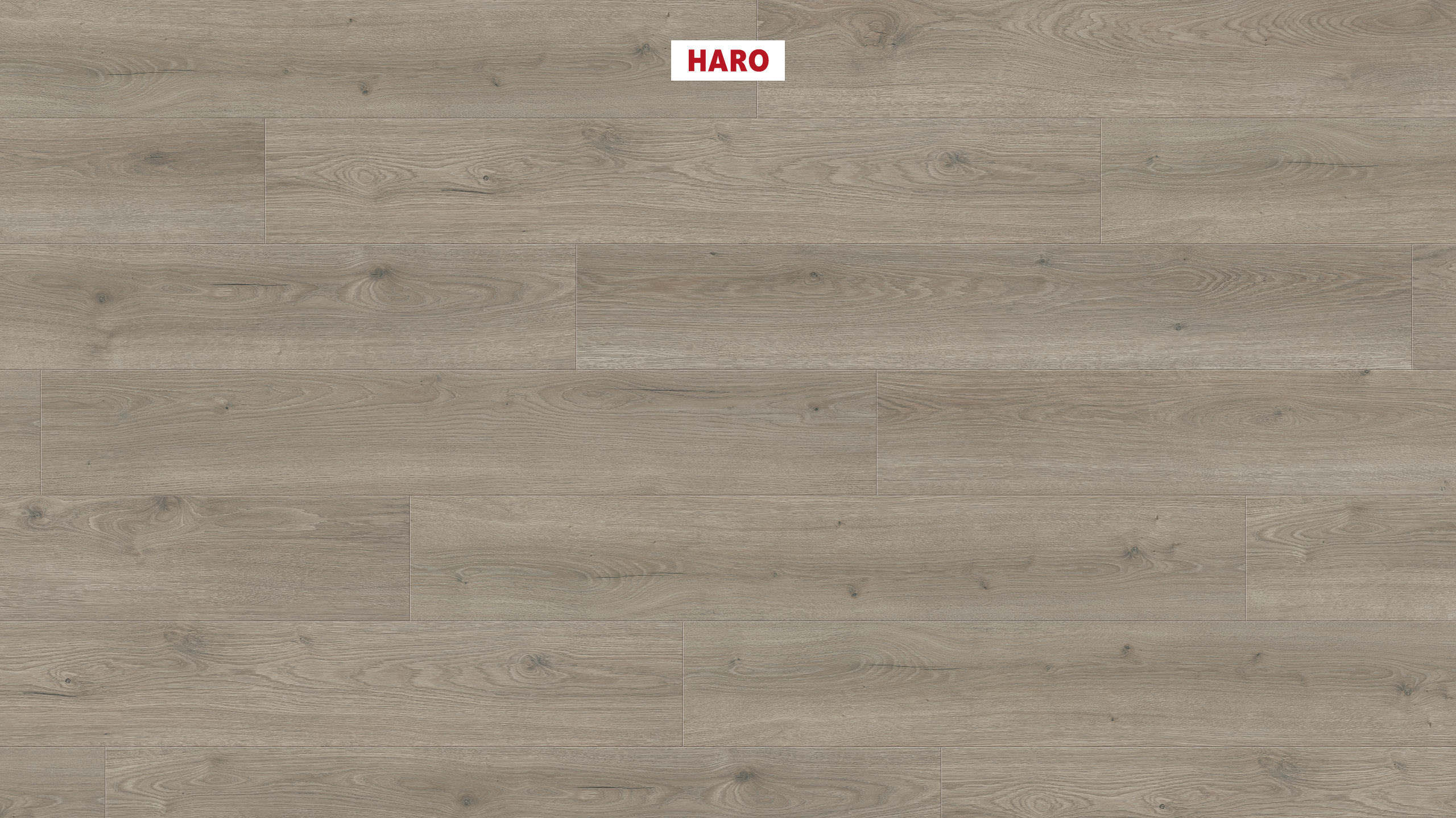 HARO Pavimento in laminato TRITTY 100 Plancia 4B Rovere Flavia grigio* authentic Silent CT Top Connect