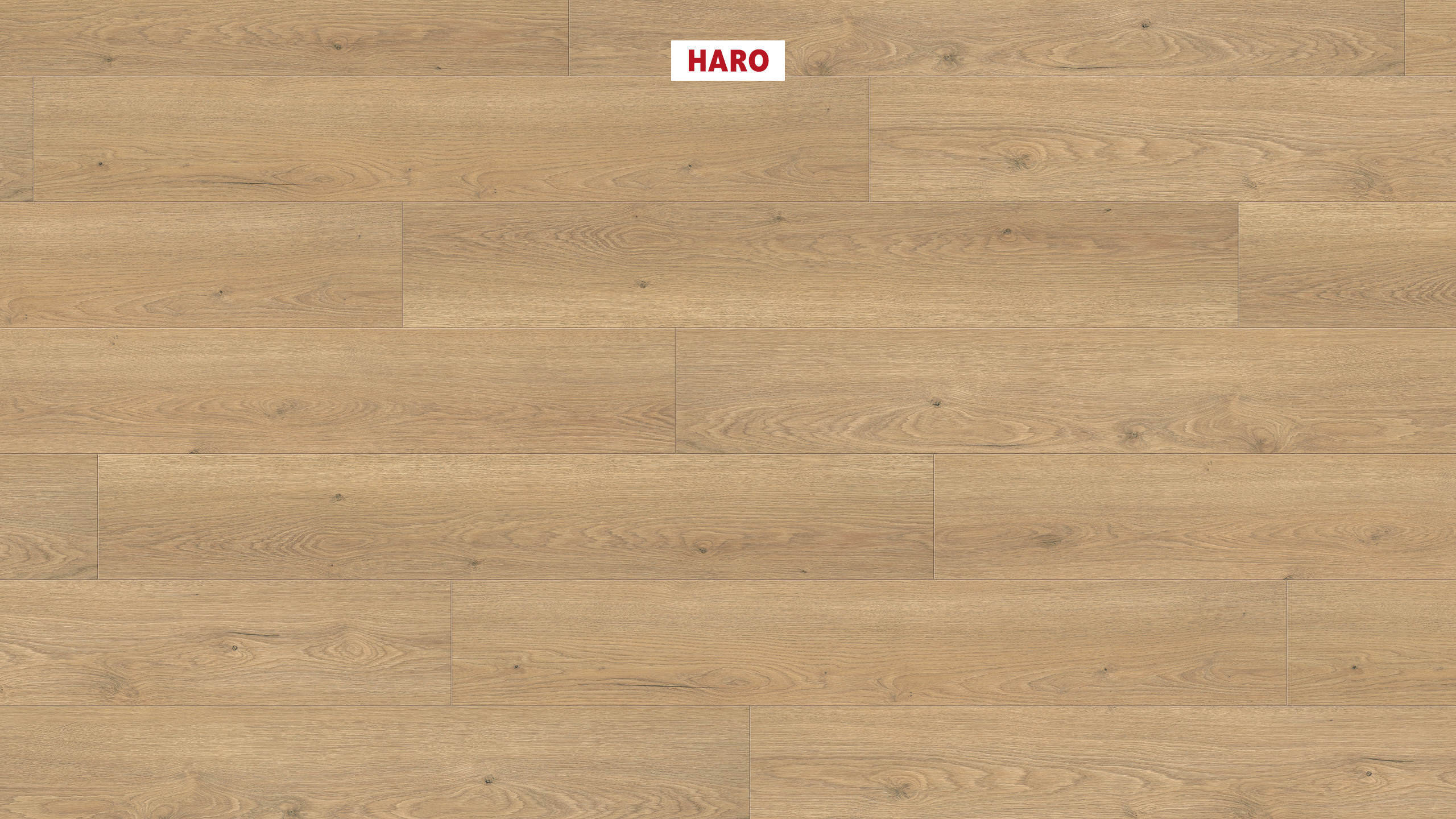 HARO Pavimento in laminato TRITTY 100 Plancia 4B Rovere Flavia puro* authentic Silent Pro Top Connect