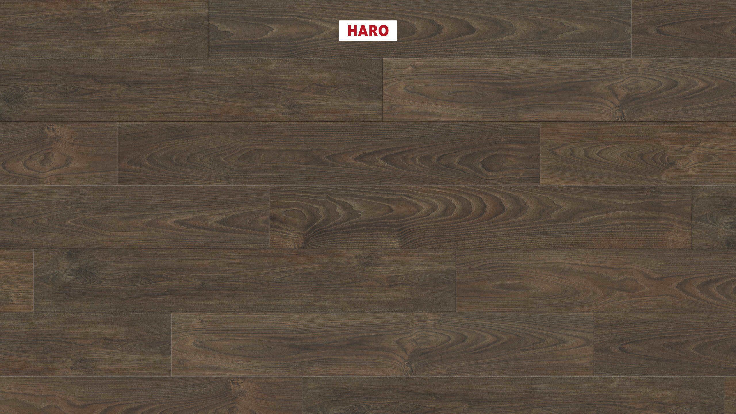 HARO Pavimento in laminato TRITTY 100 Plancia 4B Acacia Vario* authentic soft Silent Pro Top Connect