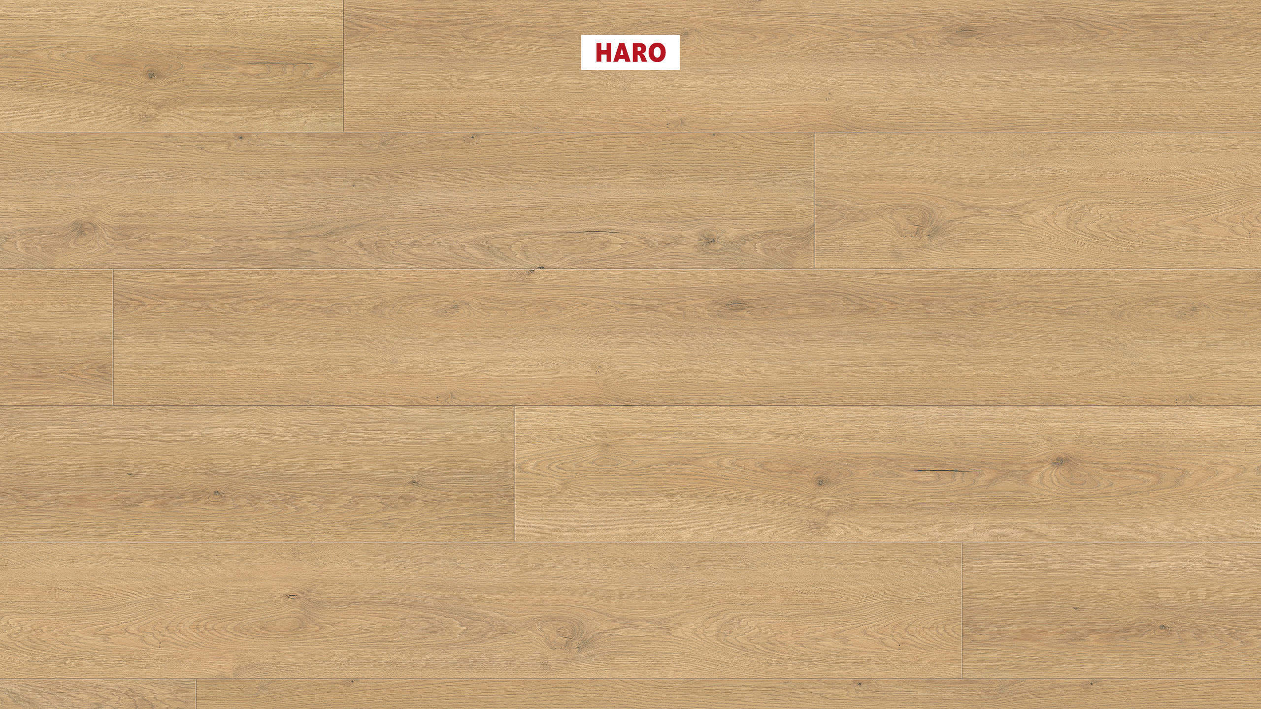 HARO Pavimento in laminato TRITTY 200 Aqua Gran Via 4B Rovere Flavia puro* authentic Silent Pro Top Connect
