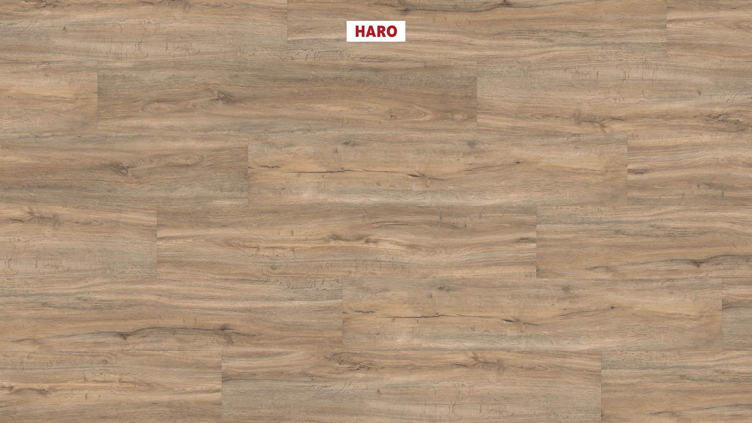 DISANO by HARO Project Plancia 4BM Leccio creme* spazzolato