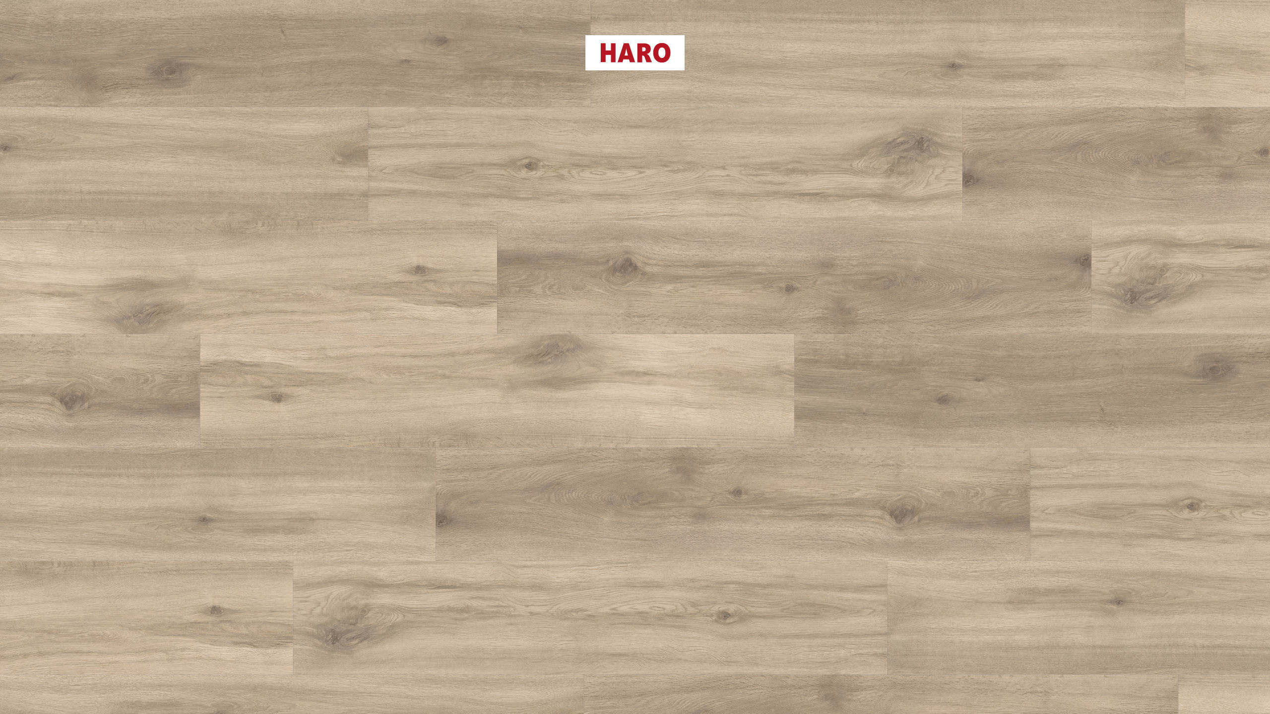 DISANO by HARO Project Plancia 4BM Rovere Provence creme* authentic