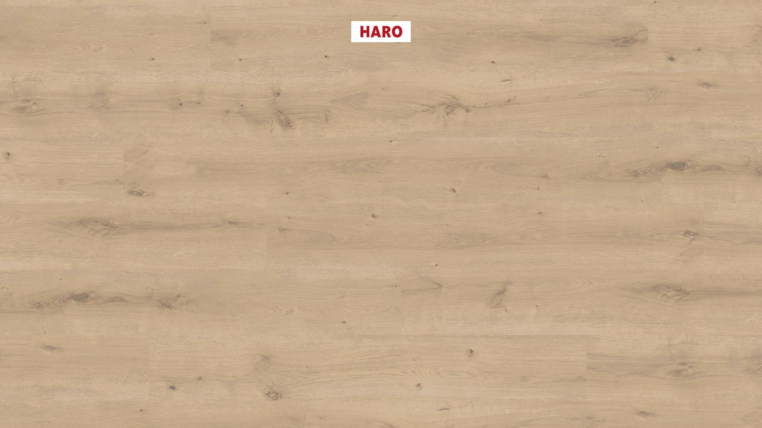 HARO Pavimento in laminato 7 mm Plancia Rovere Bremen* spazzolato Top Connect