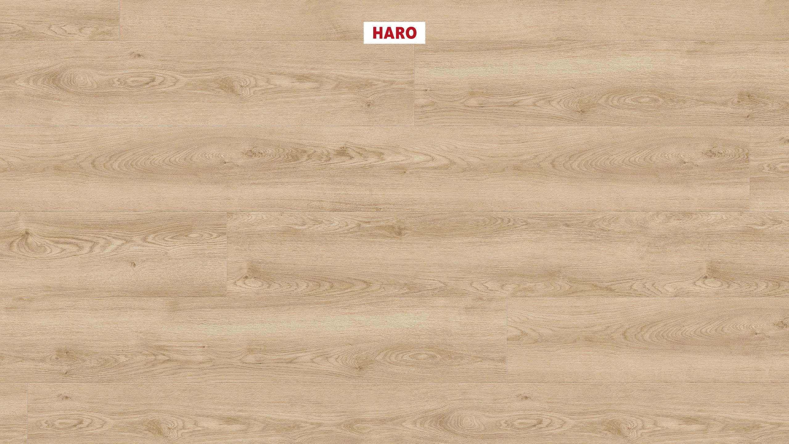 HARO Pavimento design DISANO WaveAqua Plancia XL 4B Rovere Erfurt* authentic Top Connect