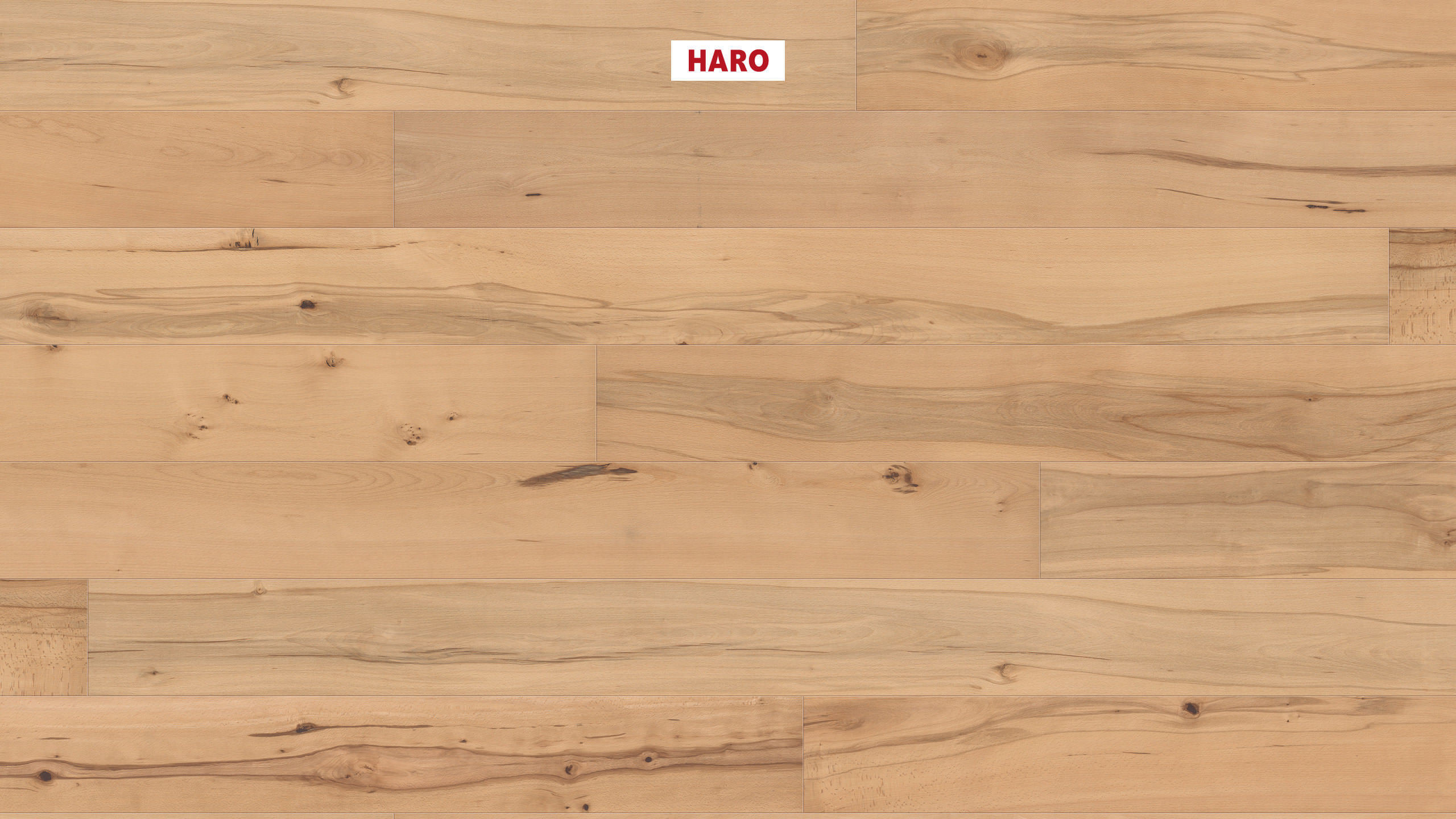 HARO PARQUET 4000 Plancia 180 4B Faggio evaporato Universal naturaDur Top Connect